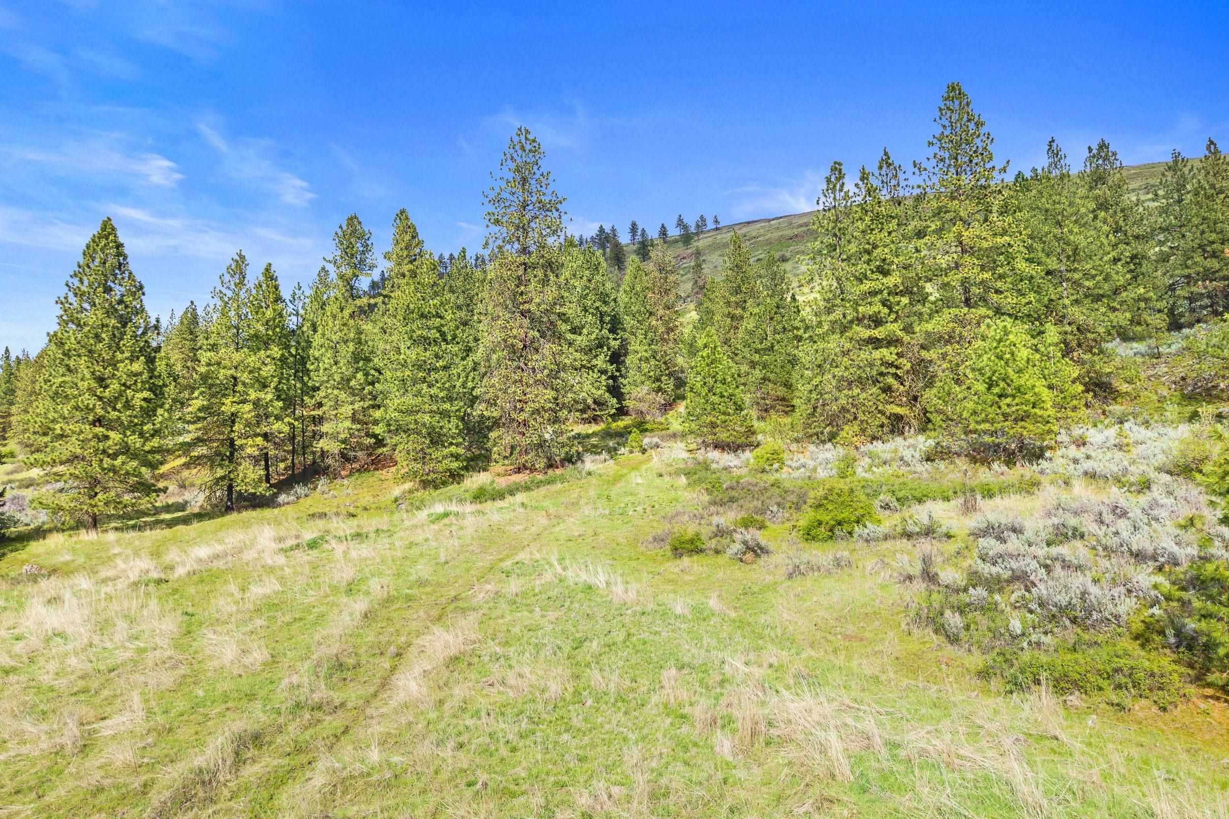 Nka Goddard Road Rice, WA 99167 - Photo 46 of 50