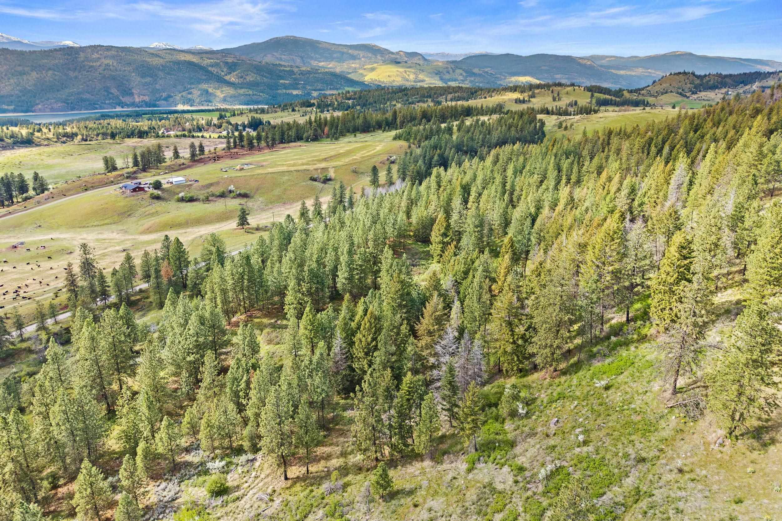 Nka Goddard Road Rice, WA 99167 - Photo 47 of 50