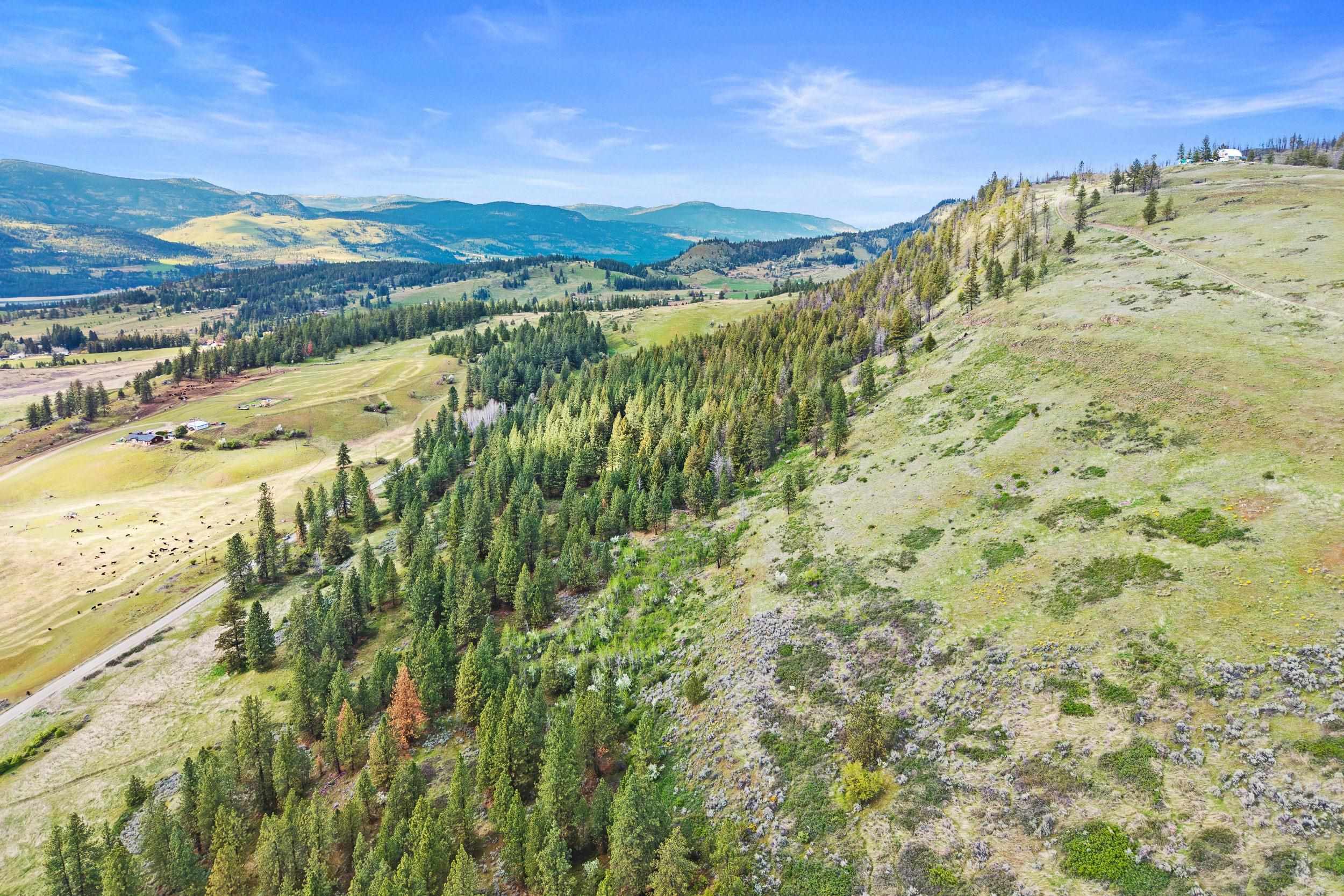 Nka Goddard Road Rice, WA 99167 - Photo 48 of 50