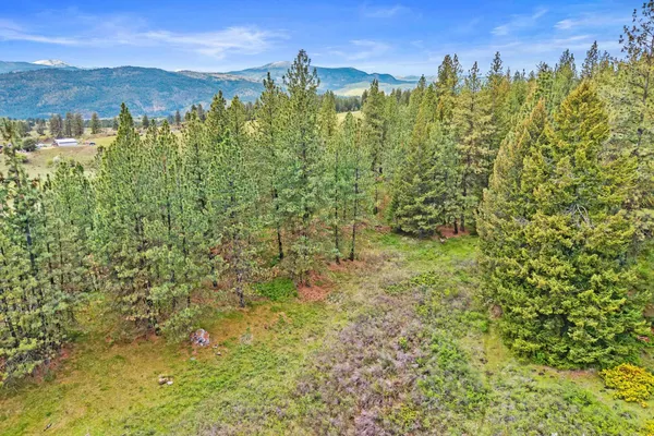 $325,000 | Nka Goddard Road, Rice, WA 99167
