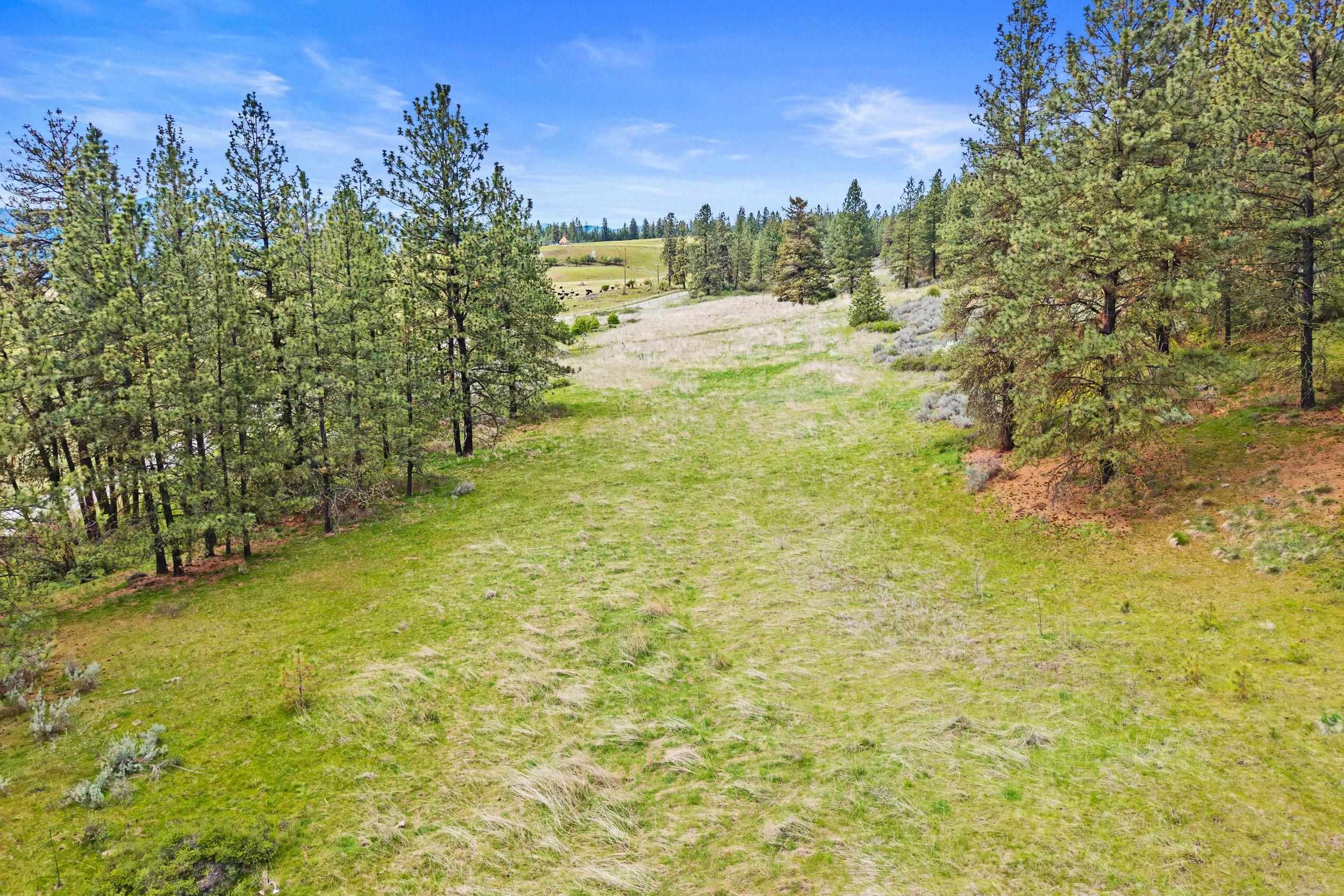 Nka Goddard Road Rice, WA 99167 - Photo 9 of 50