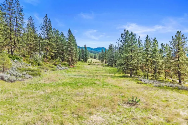 $325,000 | Nka Goddard Road, Rice, WA 99167
