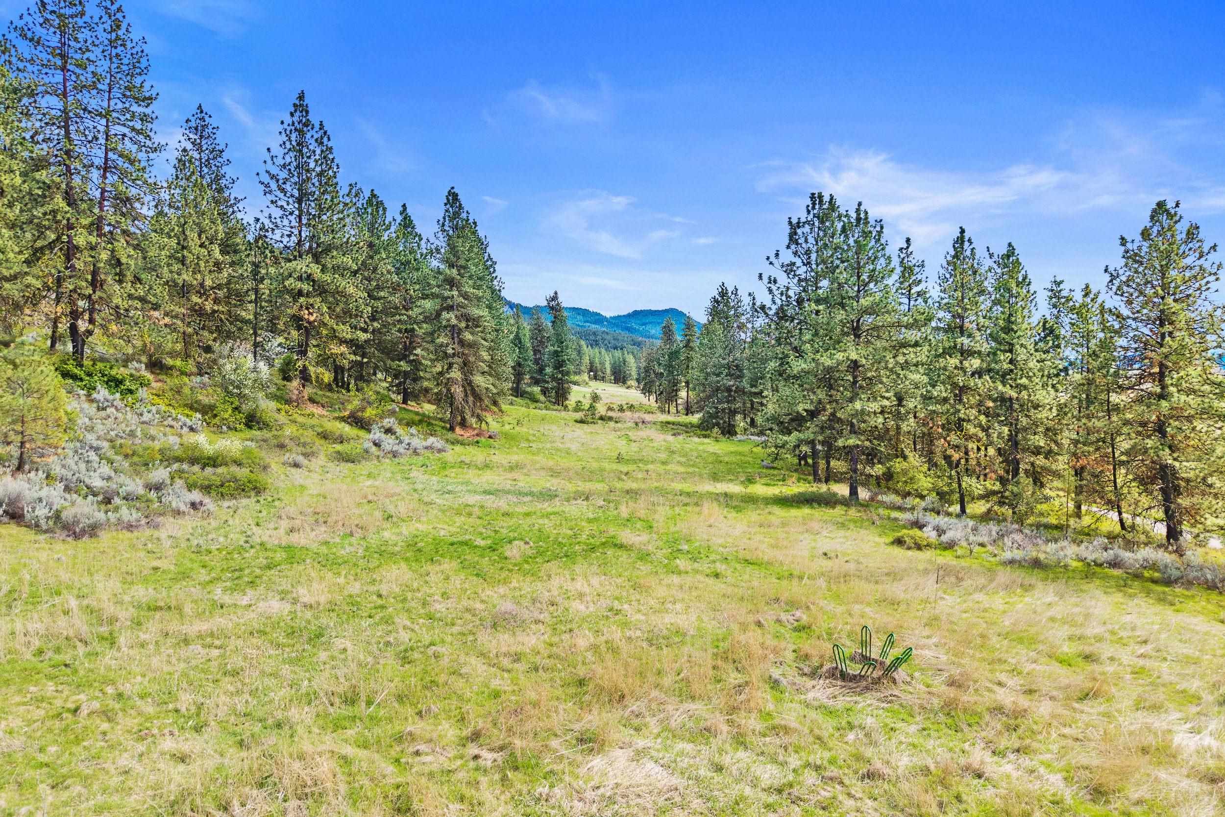 Nka Goddard Road Rice, WA 99167 - Photo 10 of 50