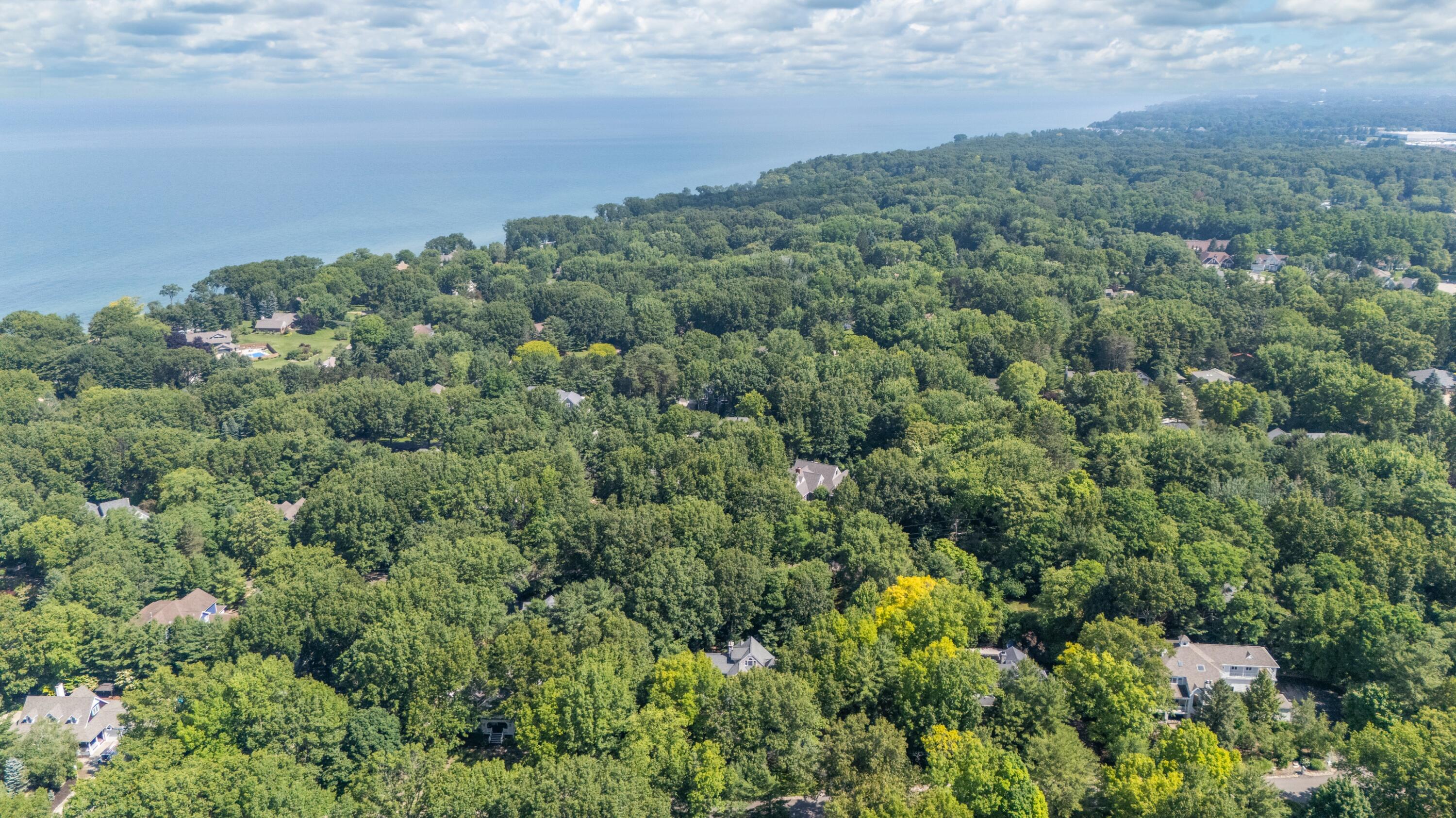 3003 Dunes Valley Path Stevensville, MI 49127 - Photo 97 of 98 120DJI_20260625231859_0007_D