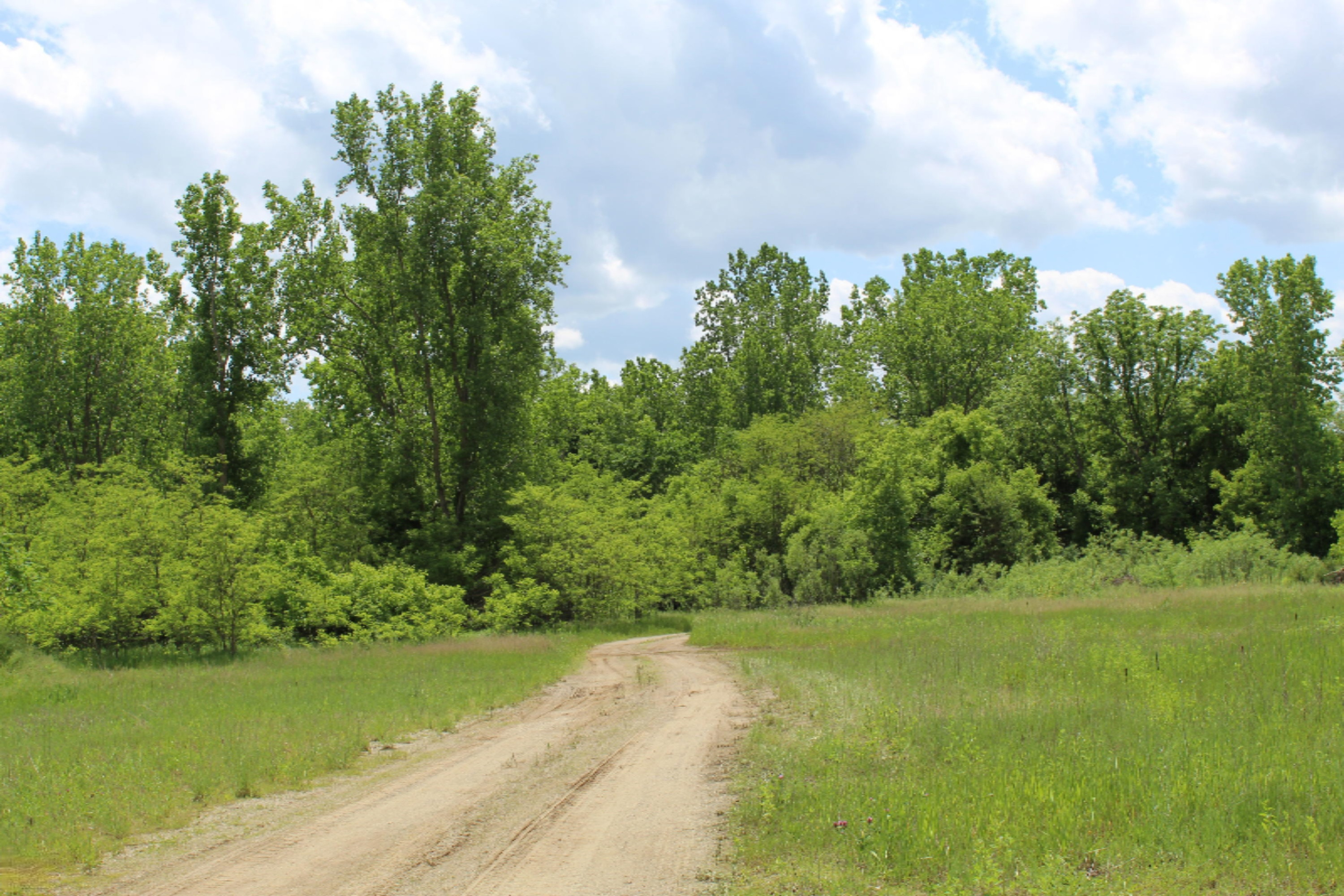 4851 Long Lake Road Reading, MI 49274 - Photo 17 of 28 IMG_0207