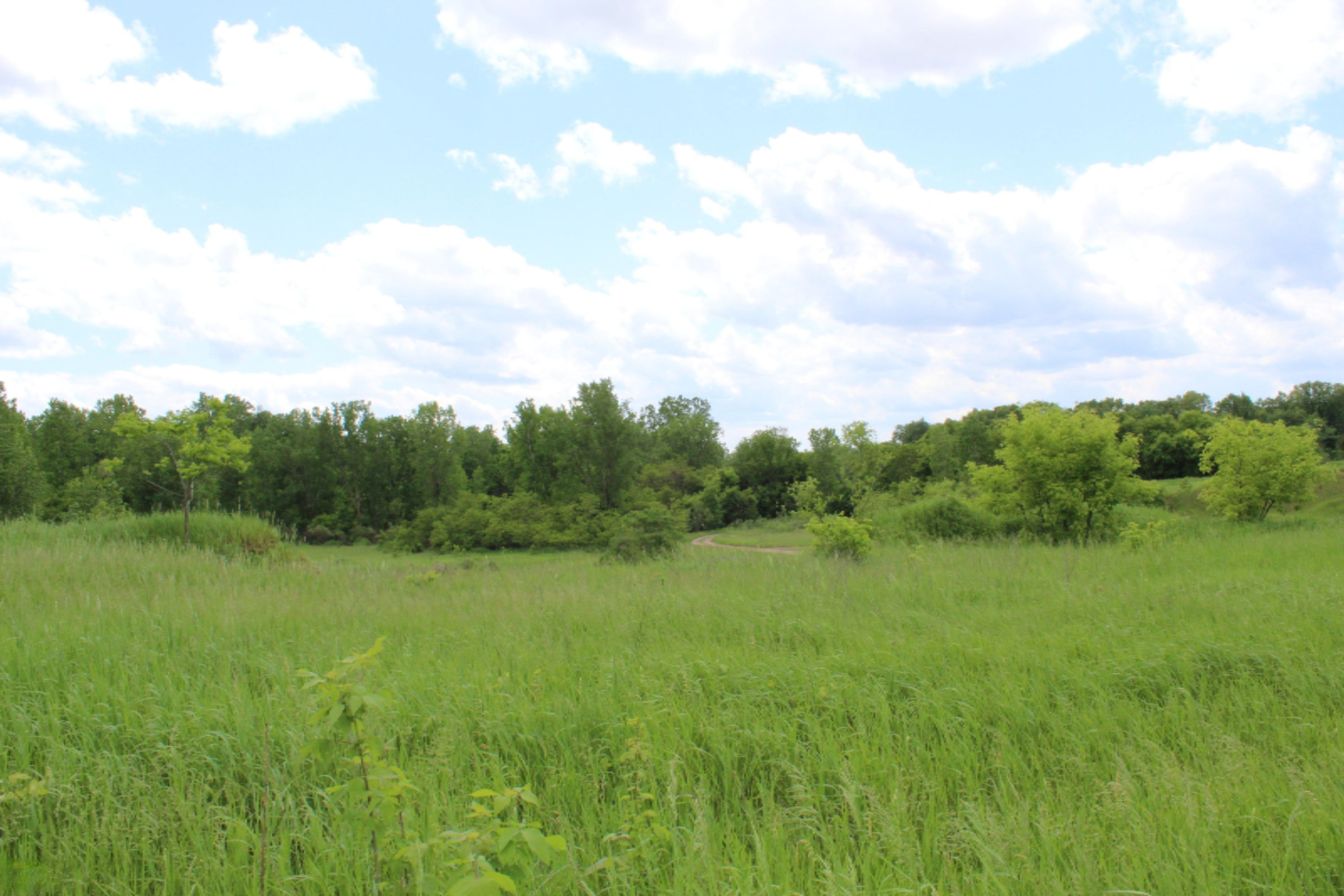 4851 Long Lake Road Reading, MI 49274 - Photo 28 of 28 IMG_0226