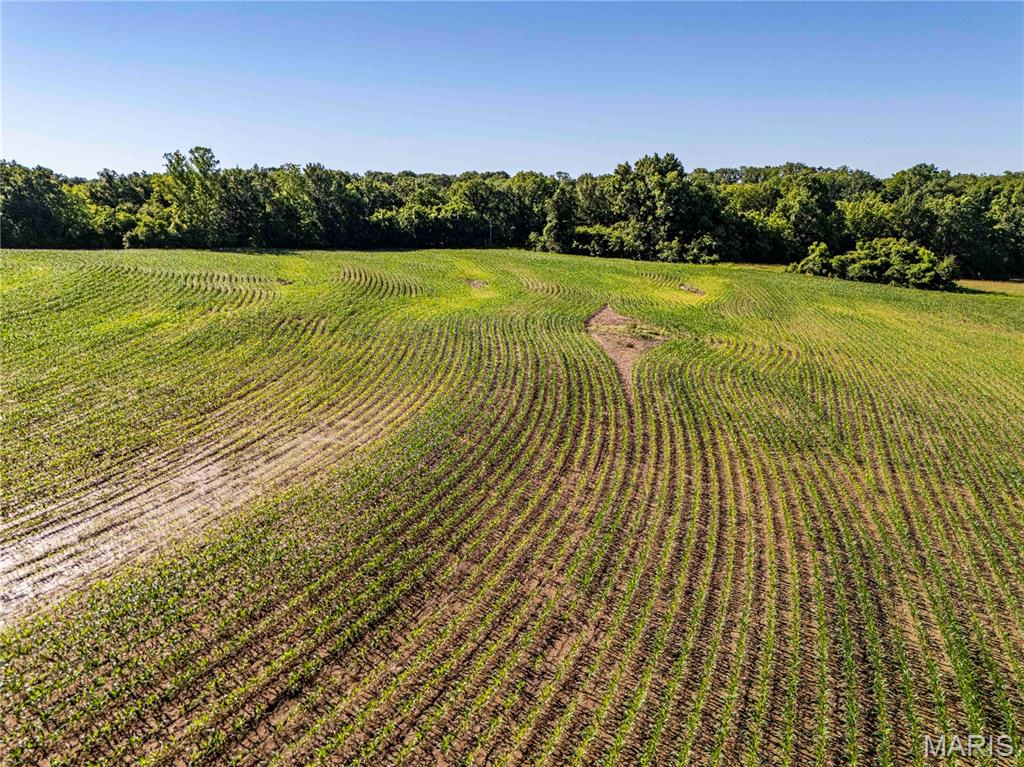 0 County 455 Road New Franklin, MO 65274 - Photo 65 of 67