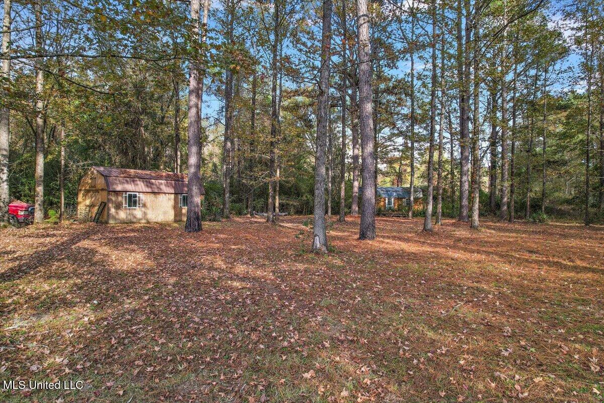 866 Old River Road Harrisville, MS 39082 - Photo 26 of 26 old river- shed 2