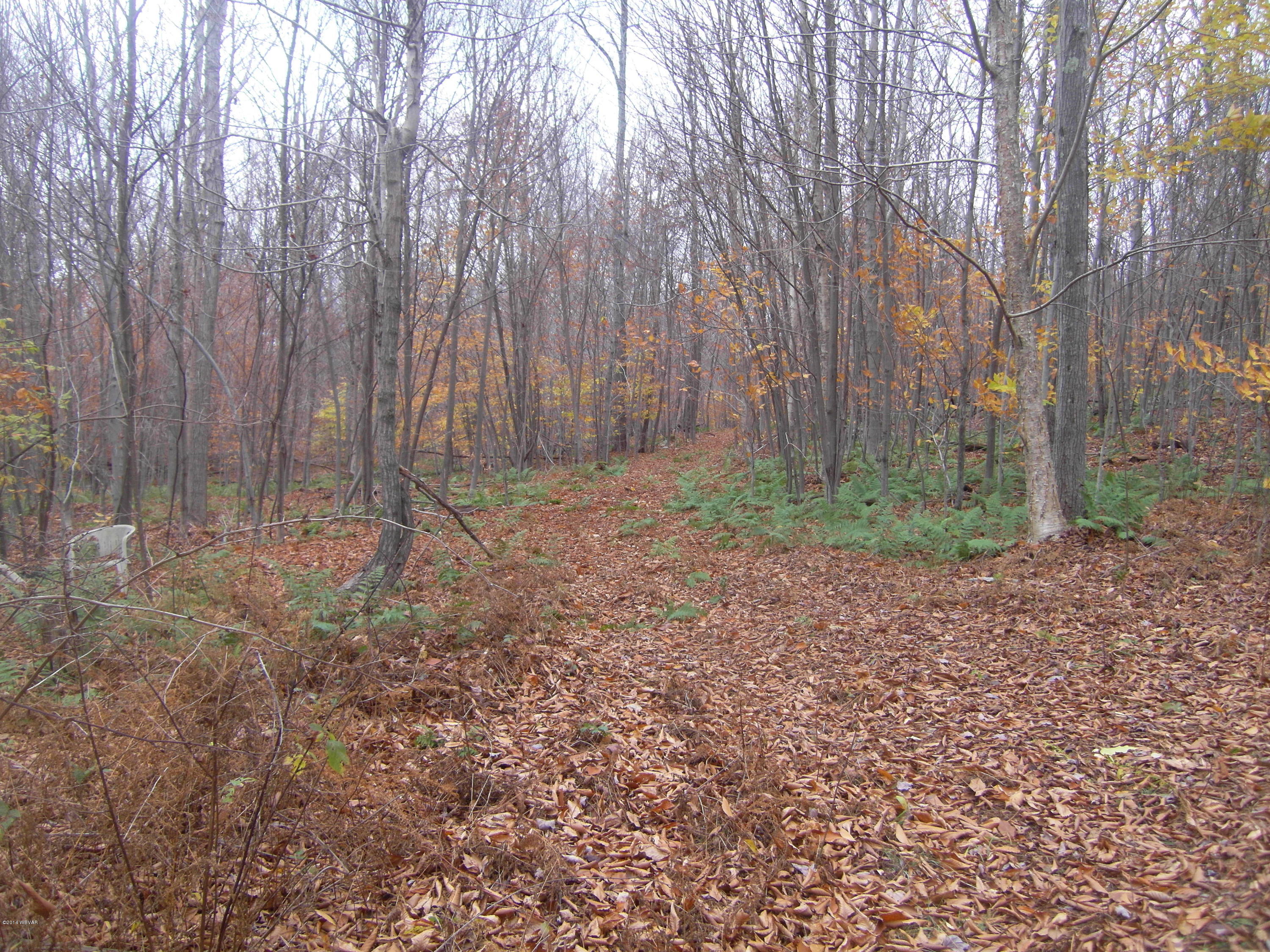 0 Telich Road Dushore, PA 18614 - Photo 4 of 6 10 26 14 004