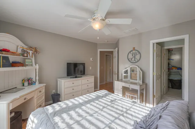 a view of a yard with trees