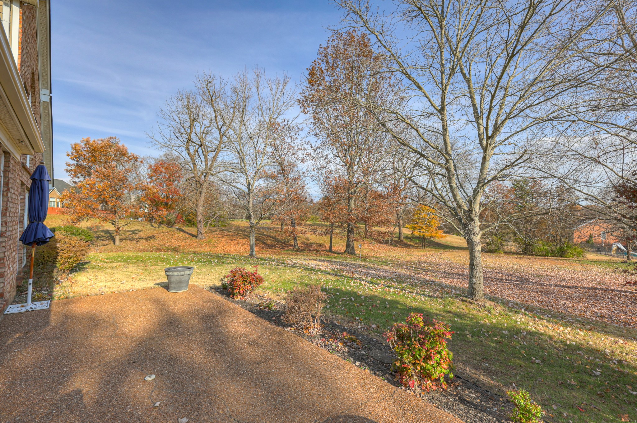 6331 Williams Grove Drive Brentwood, TN 37027 - Photo 50 of 58 a view of a yard with trees