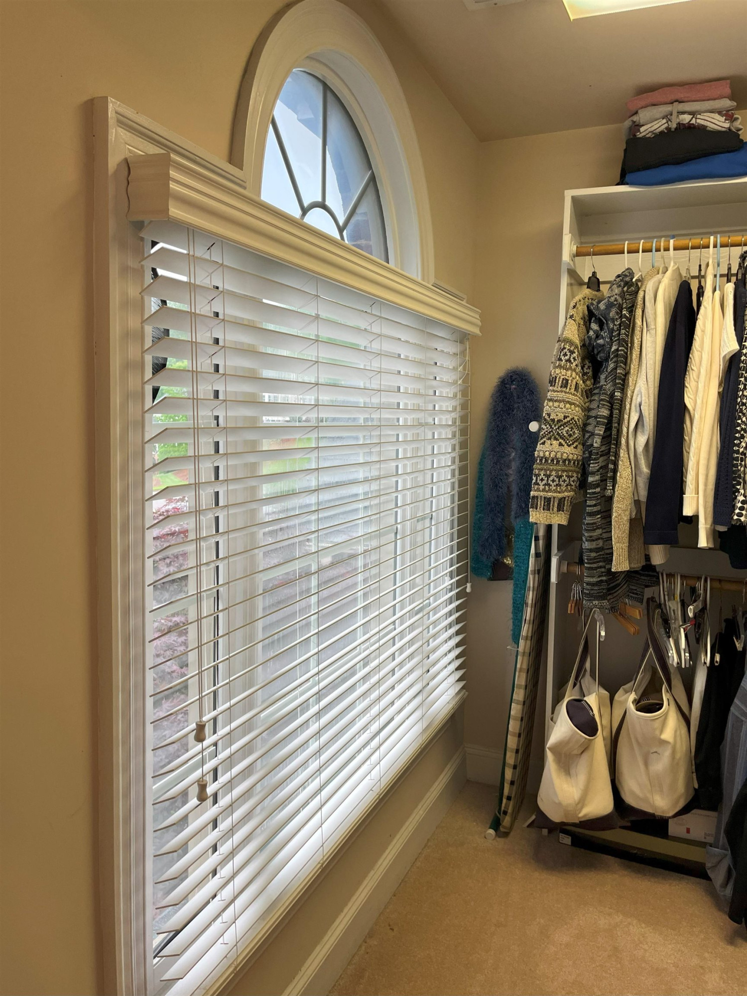 5239 Coffee Tree Drive Raleigh, NC 27613 - Photo 27 of 39 Master bedroom walk in closet