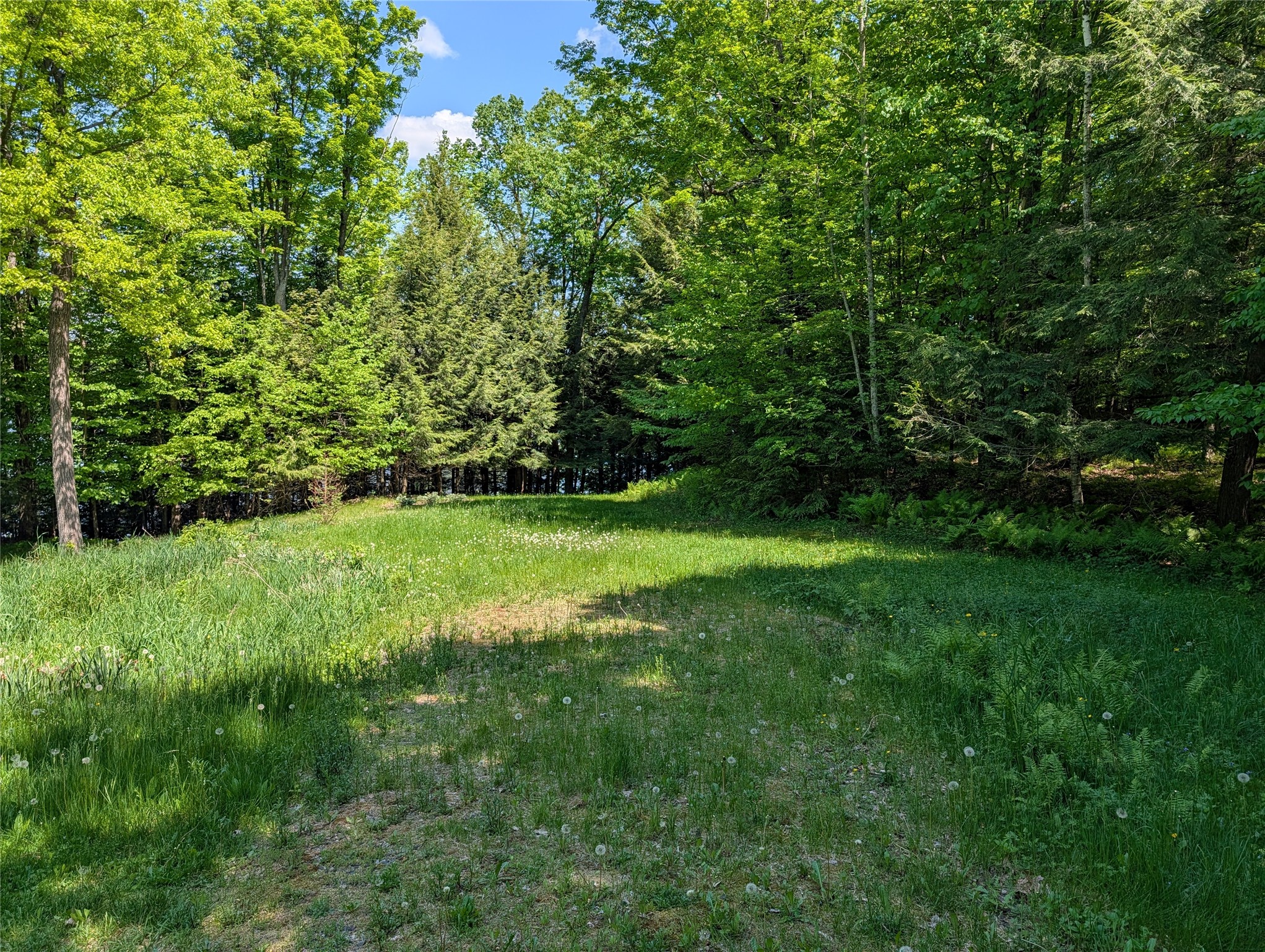 14967 360th Street Stanley, WI 54768 - Photo 4 of 20
