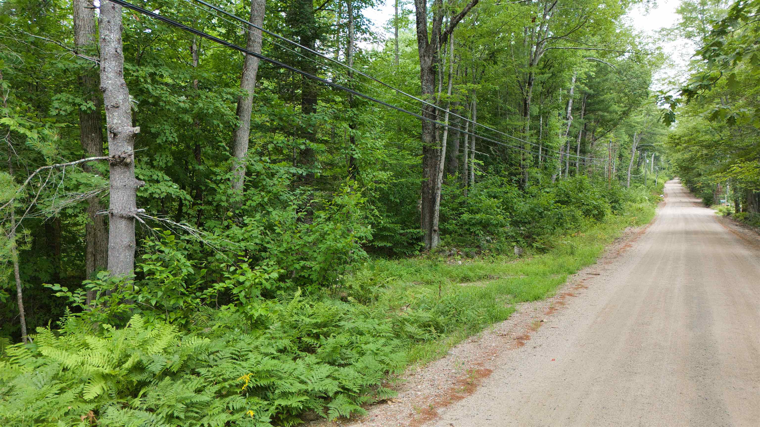Lot 1-2 Colcord Hill Road Effingham, NH 03882 - Photo 5 of 12 Gallery Image 5