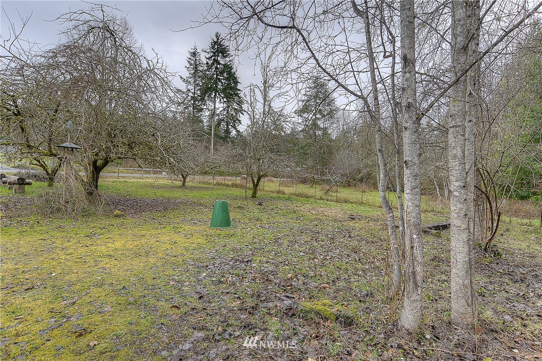 7701 Zangle Road Northeast Olympia, WA 98506 - Photo 22 of 25 Gallery Image 22