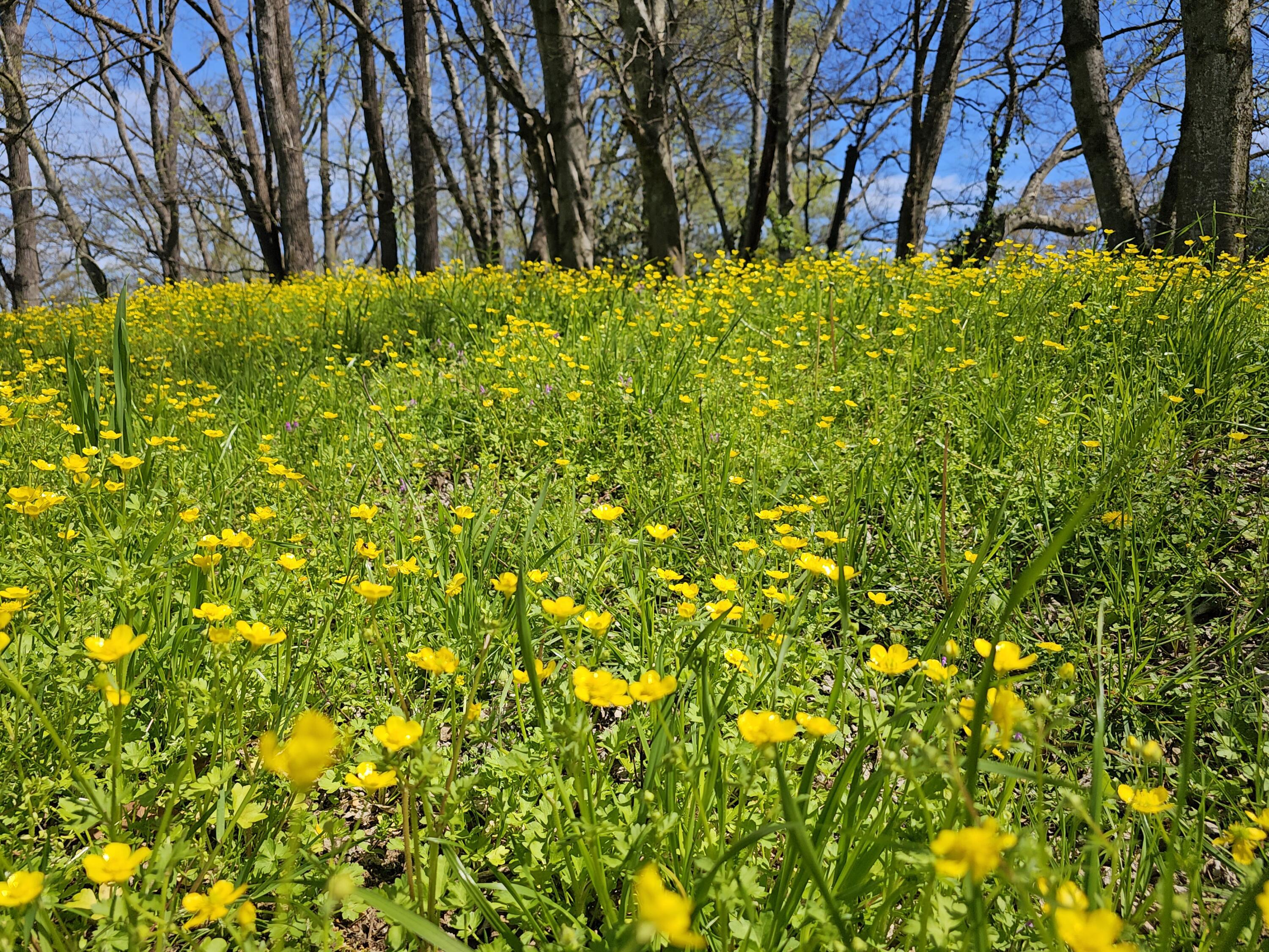 495 Lower East Valley Road Dunlap, TN 37327 - Photo 12 of 55 20240522142114899179000000-o