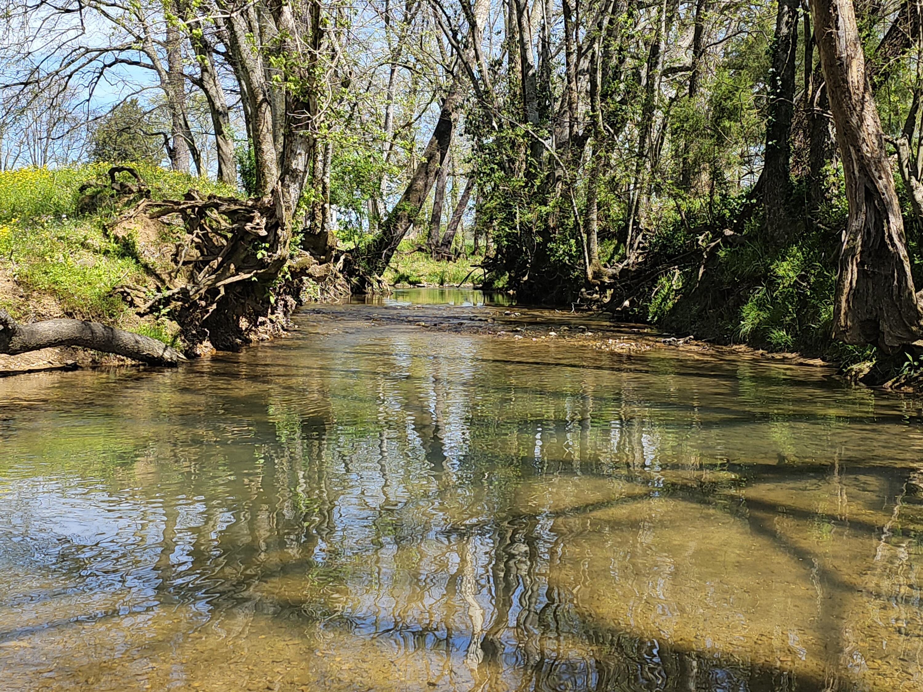 495 Lower East Valley Road Dunlap, TN 37327 - Photo 14 of 58 20240522142121277335000000-o