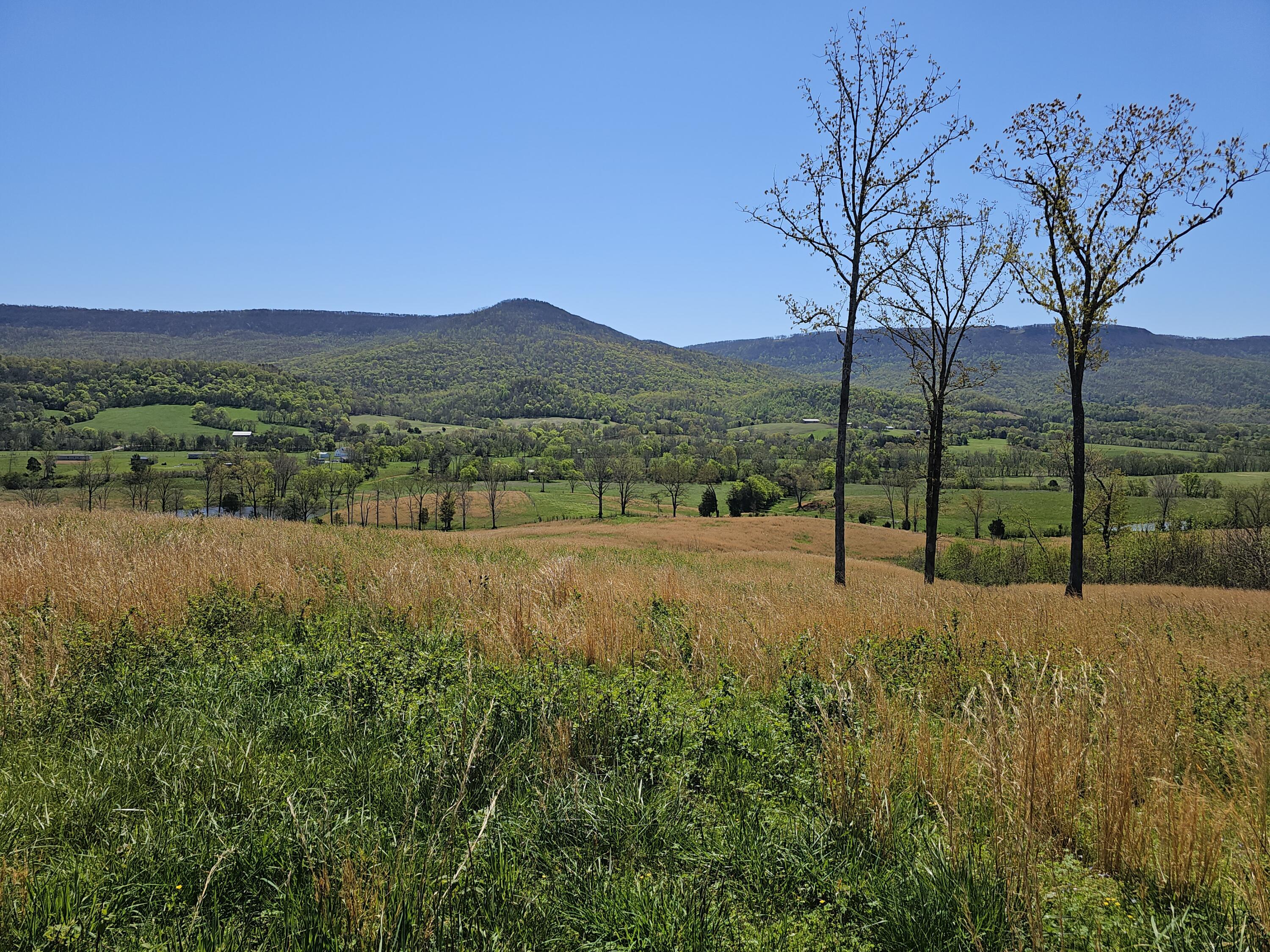 495 Lower East Valley Road Dunlap, TN 37327 - Photo 20 of 58 20240522141952795335000000-o
