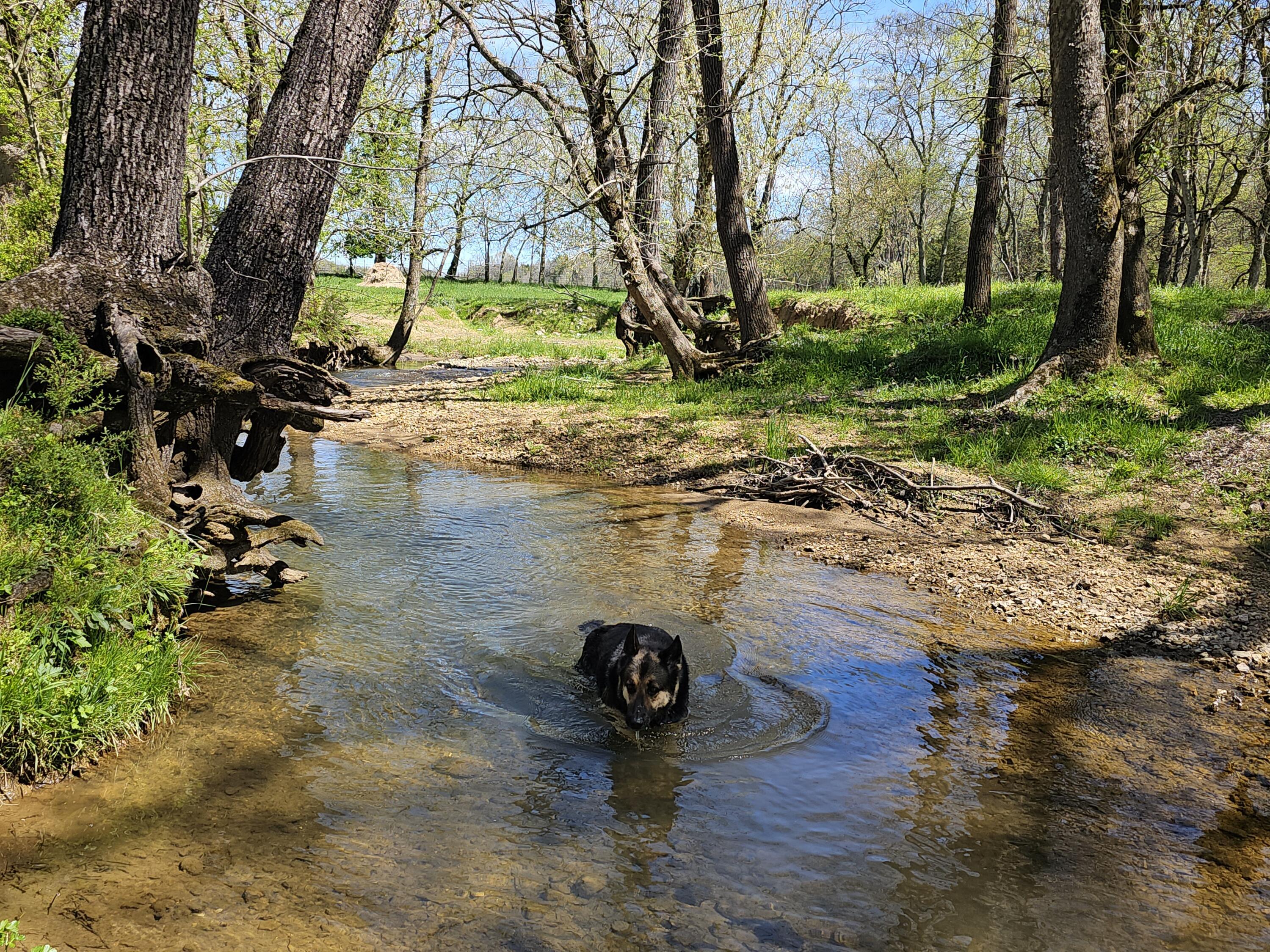 495 Lower East Valley Road Dunlap, TN 37327 - Photo 2 of 58 20240522141838029911000000-o