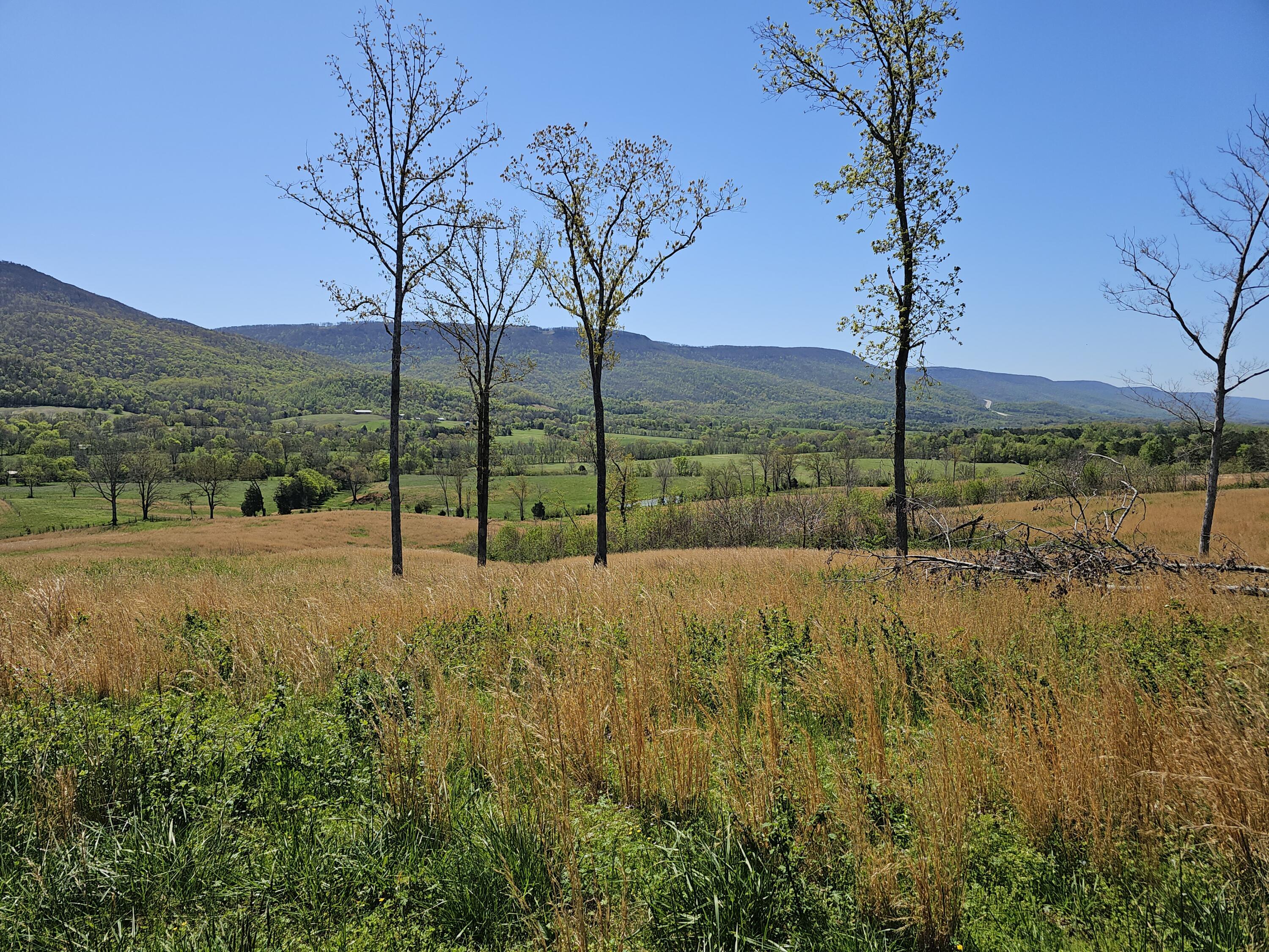 495 Lower East Valley Road Dunlap, TN 37327 - Photo 21 of 55 20240522141917214470000000-o