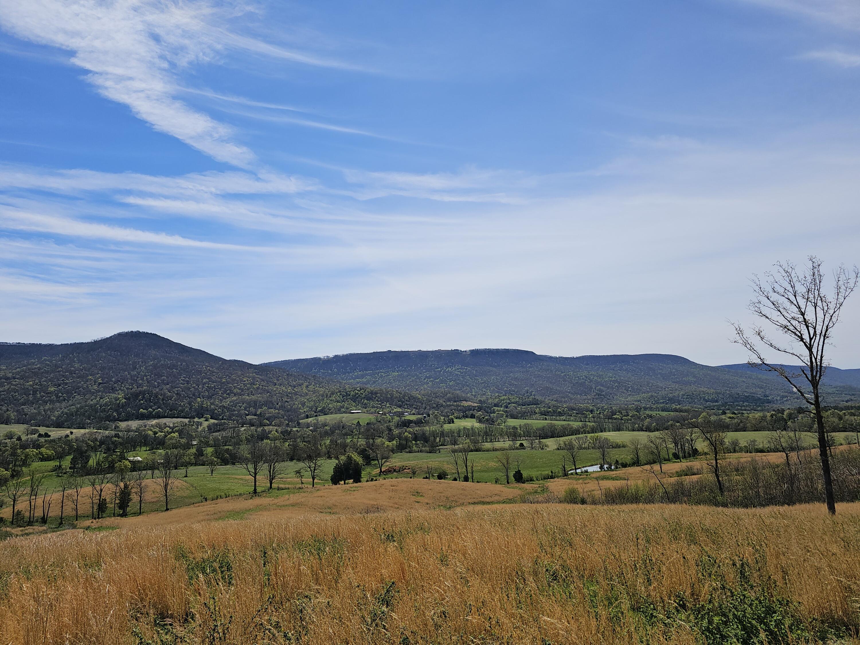 495 Lower East Valley Road Dunlap, TN 37327 - Photo 22 of 55 20240522141910006620000000-o