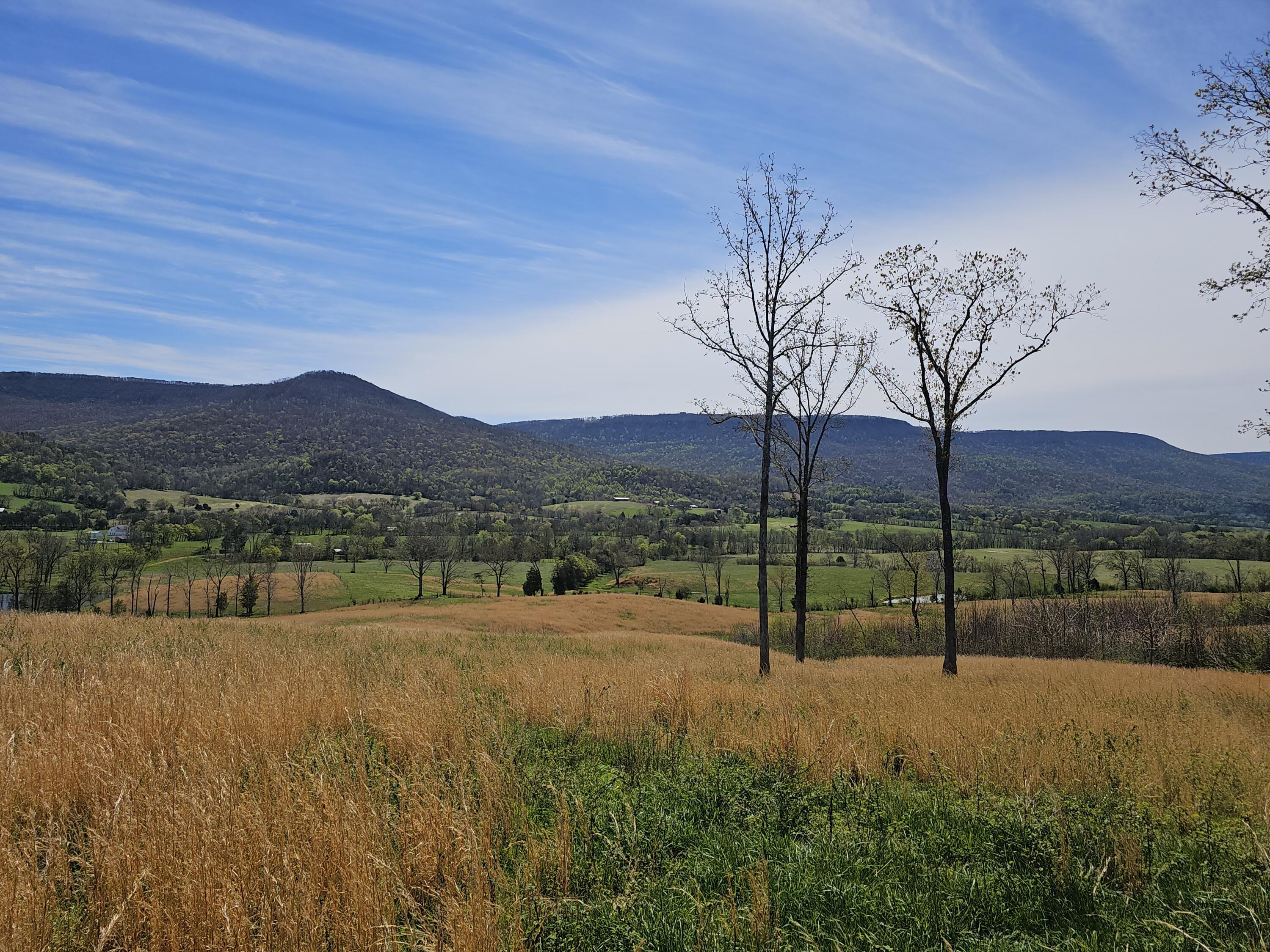 495 Lower East Valley Road Dunlap, TN 37327 - Photo 27 of 55 20240522141752653279000000-o