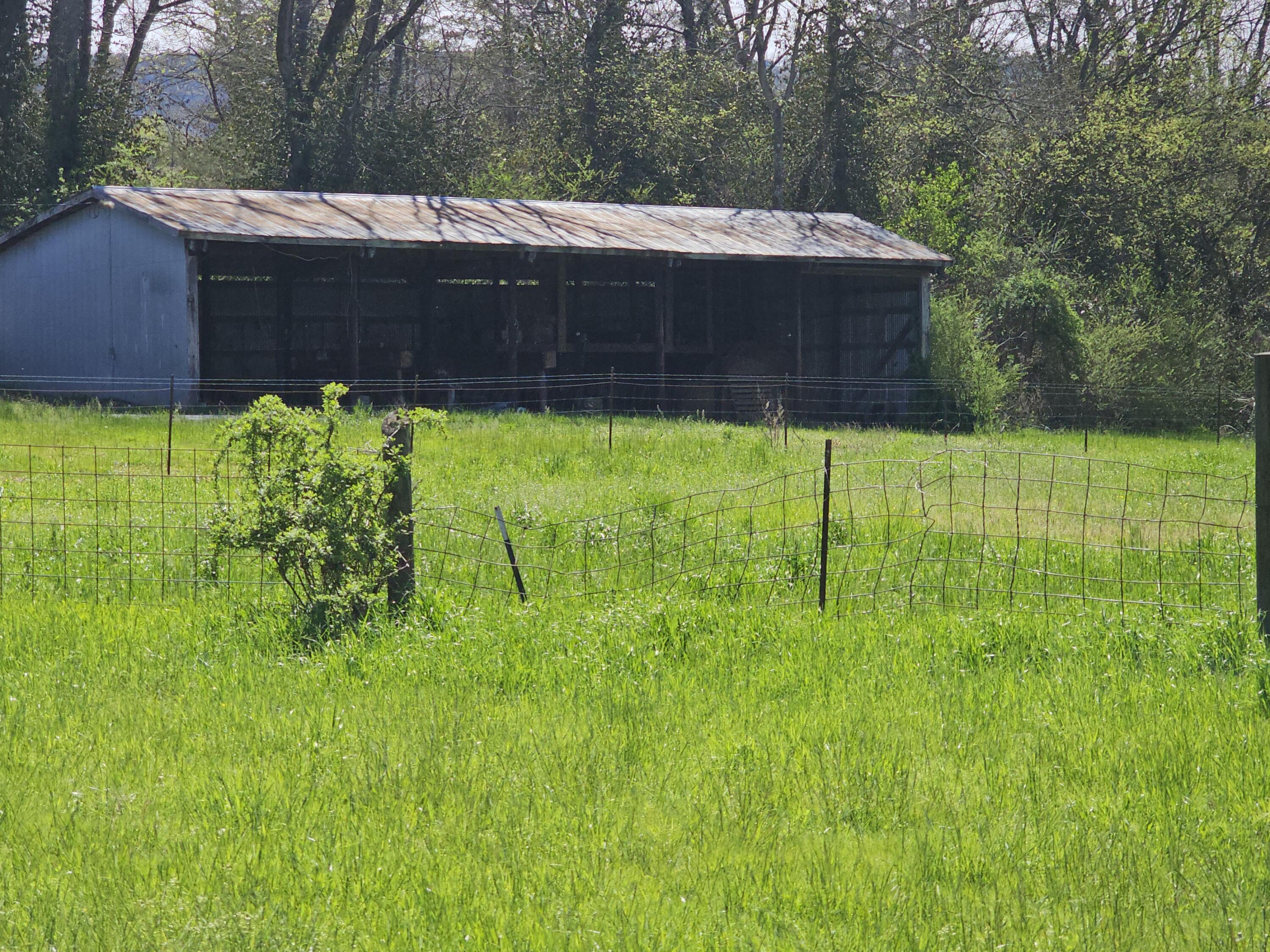 495 Lower East Valley Road Dunlap, TN 37327 - Photo 30 of 58 20240522141726385592000000-o