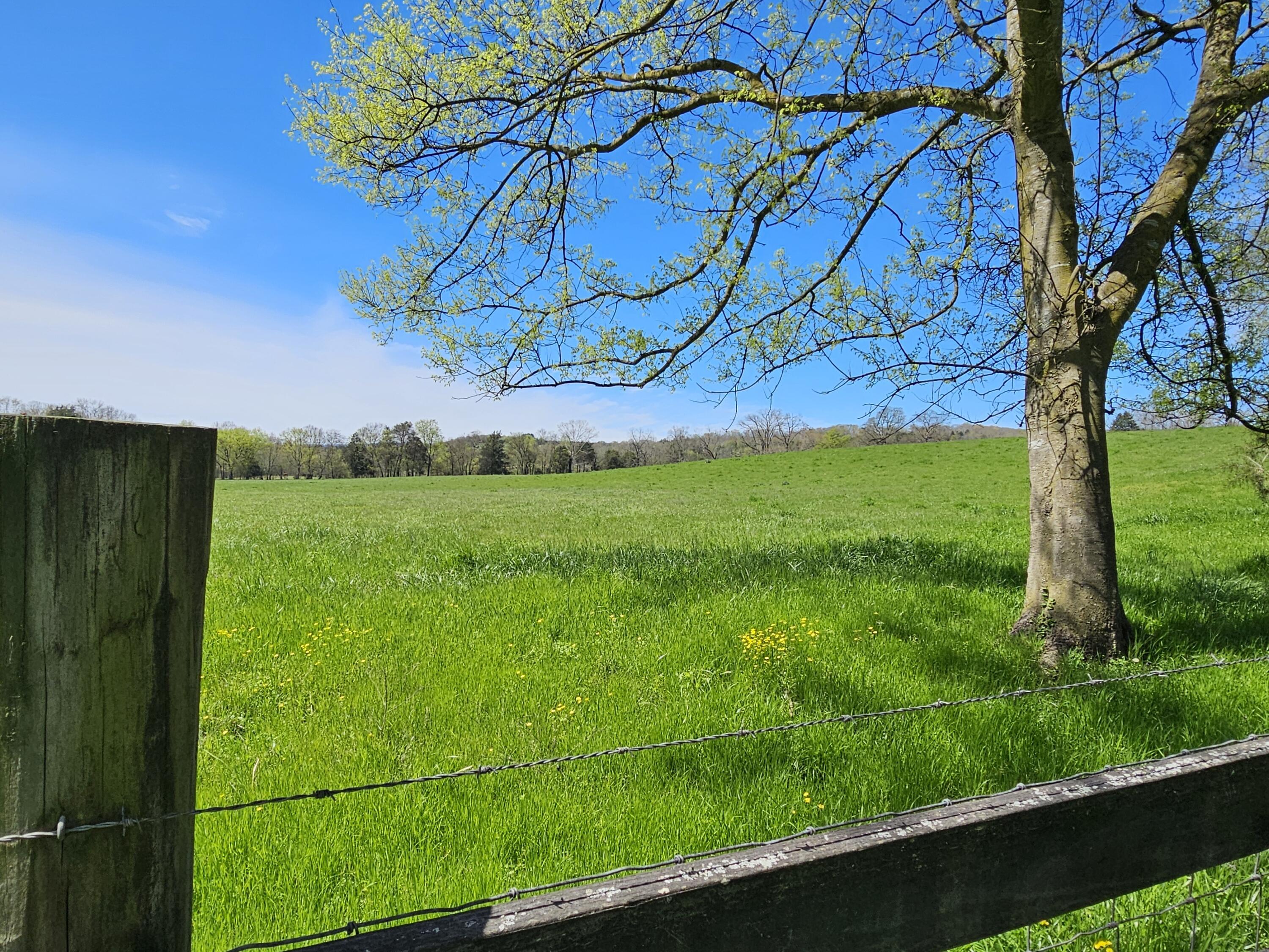 495 Lower East Valley Road Dunlap, TN 37327 - Photo 35 of 58 20240522141623183594000000-o