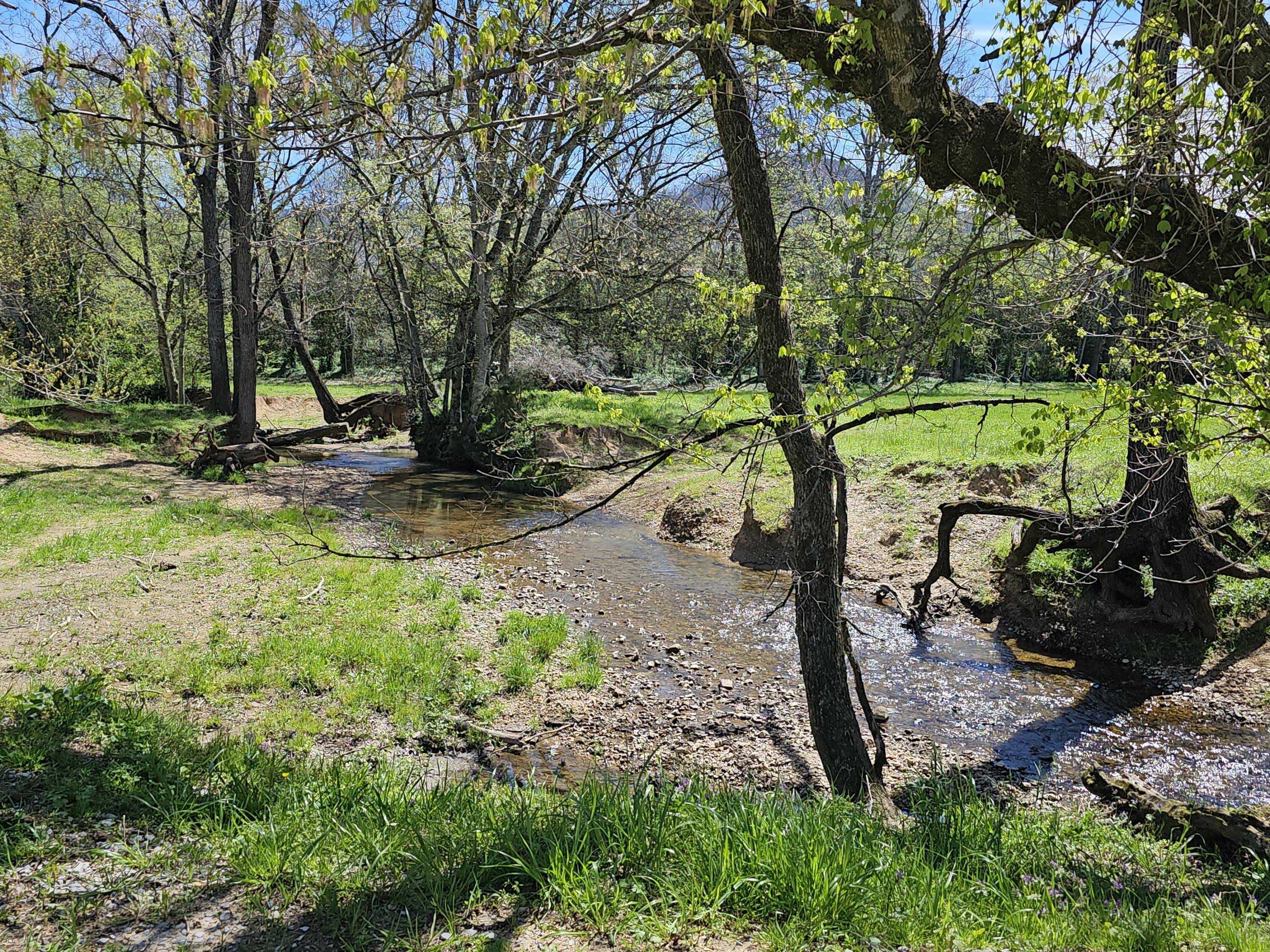 495 Lower East Valley Road Dunlap, TN 37327 - Photo 4 of 55 20240522141630039929000000-o (1)