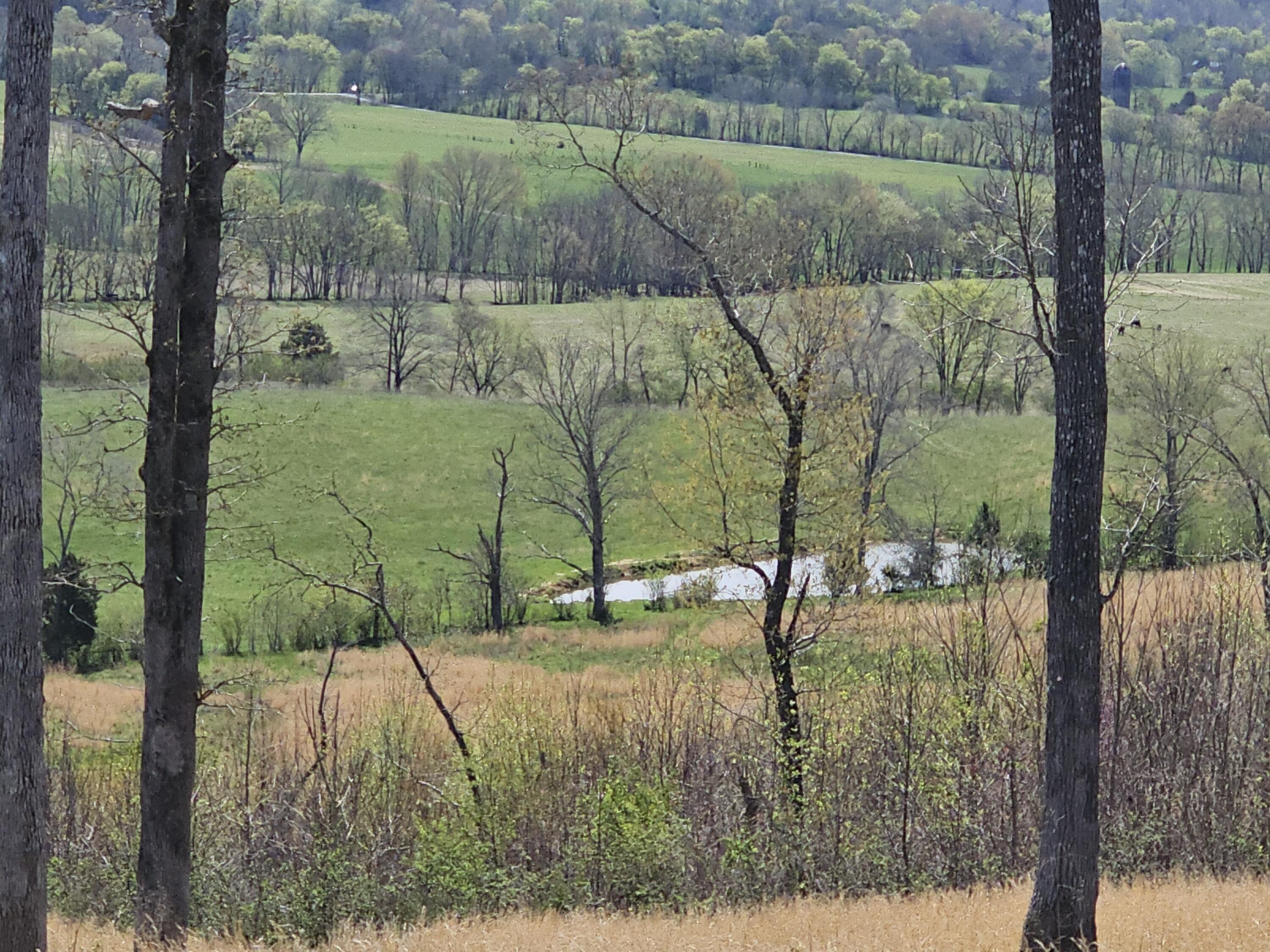 495 Lower East Valley Road Dunlap, TN 37327 - Photo 42 of 55 20240522141452189168000000-o