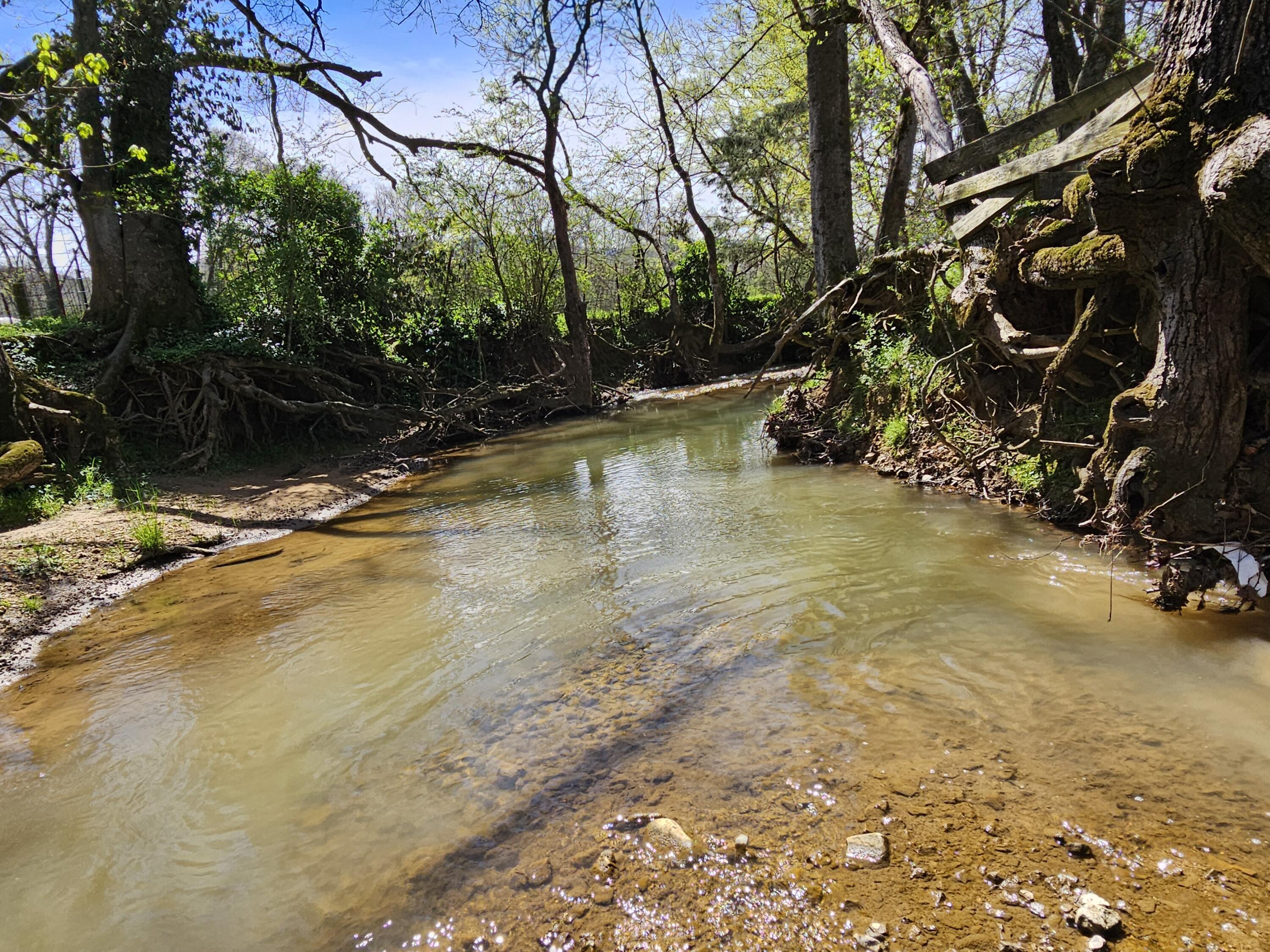 495 Lower East Valley Road Dunlap, TN 37327 - Photo 43 of 55 20240522141431877981000000-o