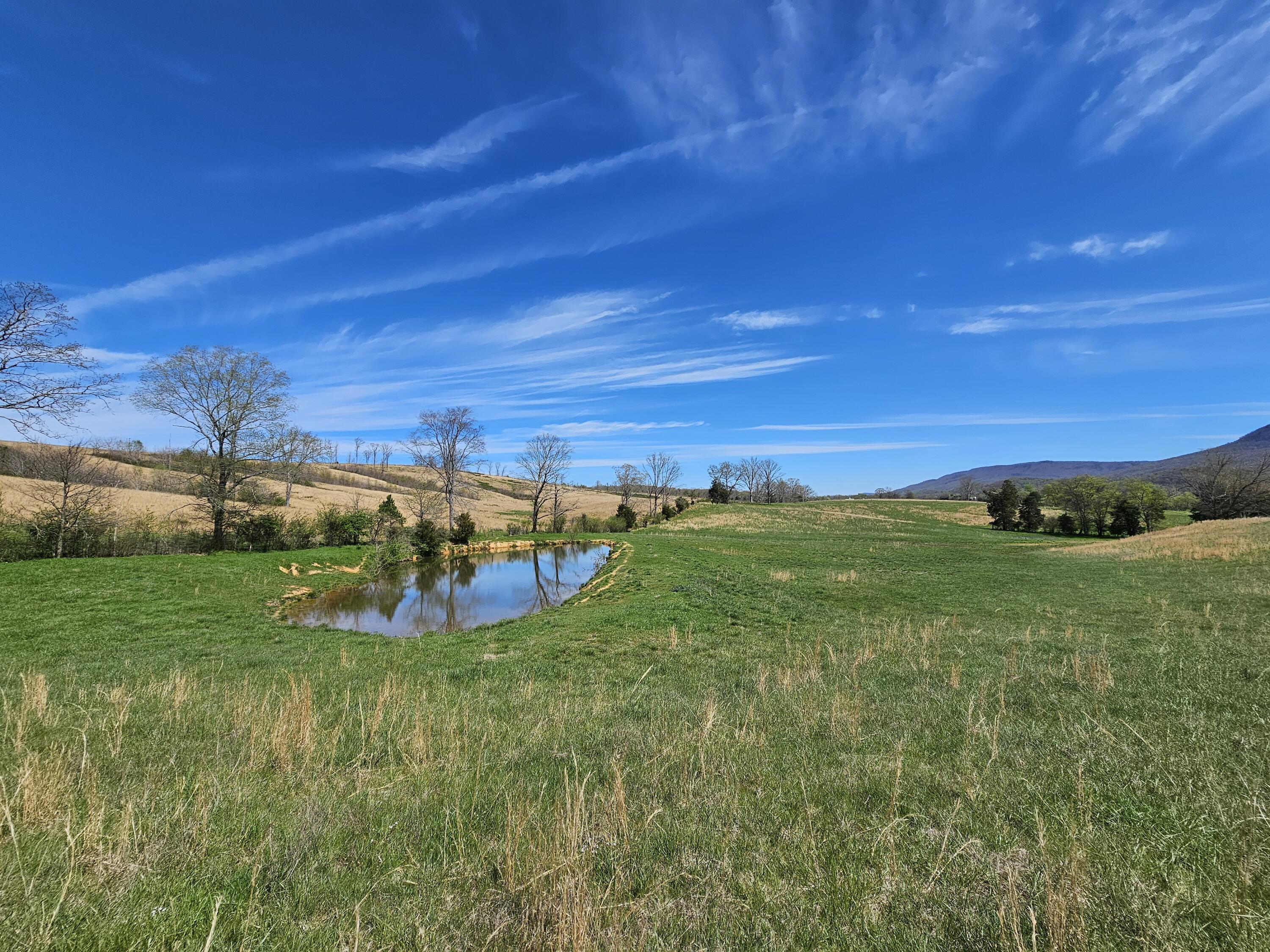 495 Lower East Valley Road Dunlap, TN 37327 - Photo 5 of 58 20240522142013448379000000-o