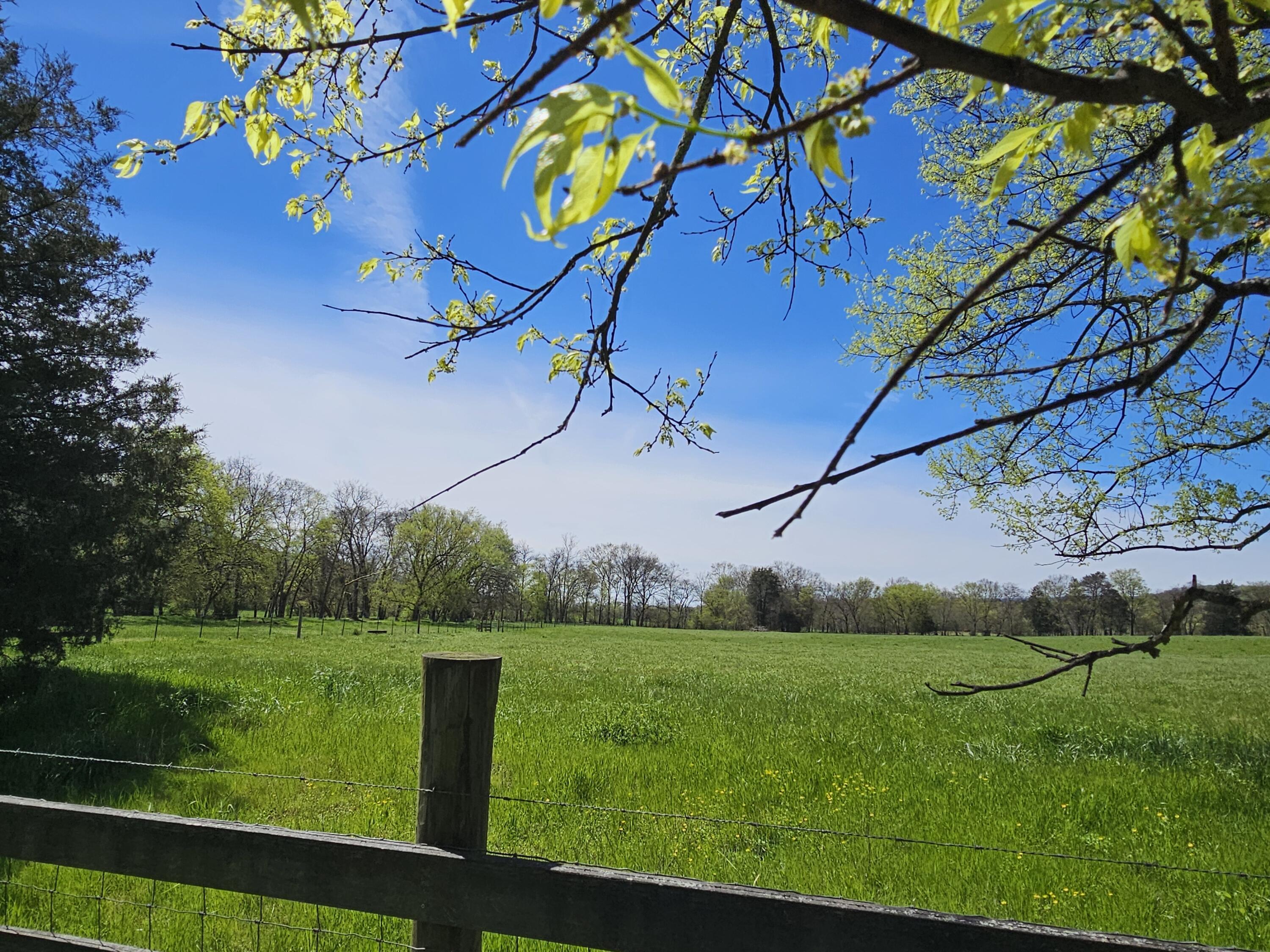 495 Lower East Valley Road Dunlap, TN 37327 - Photo 6 of 58 20240522141609570896000000-o (1)