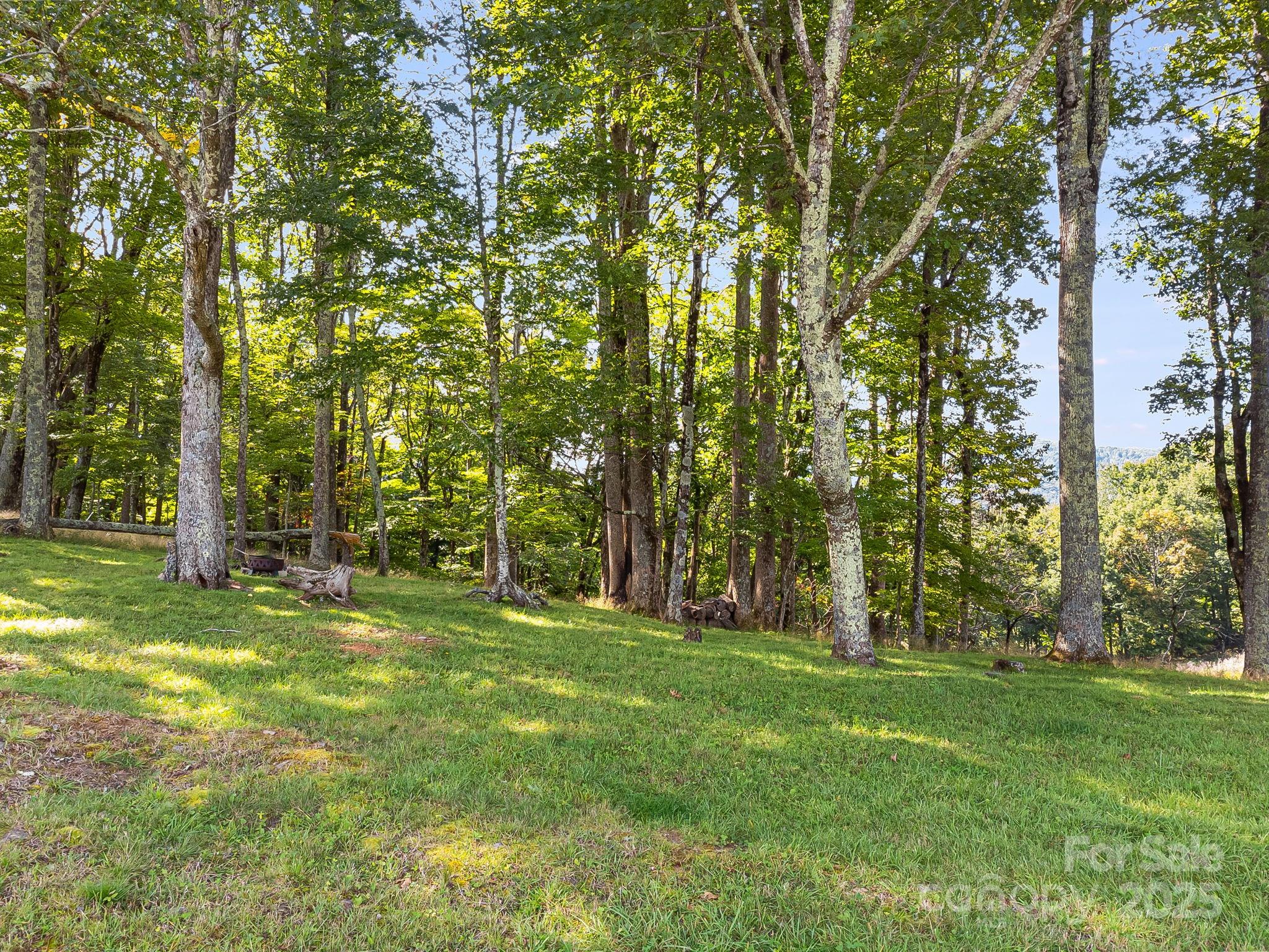 62 Poplar Forest Drive Boone, NC 28607 - Photo 11 of 27 a backyard of a house with lots of green space