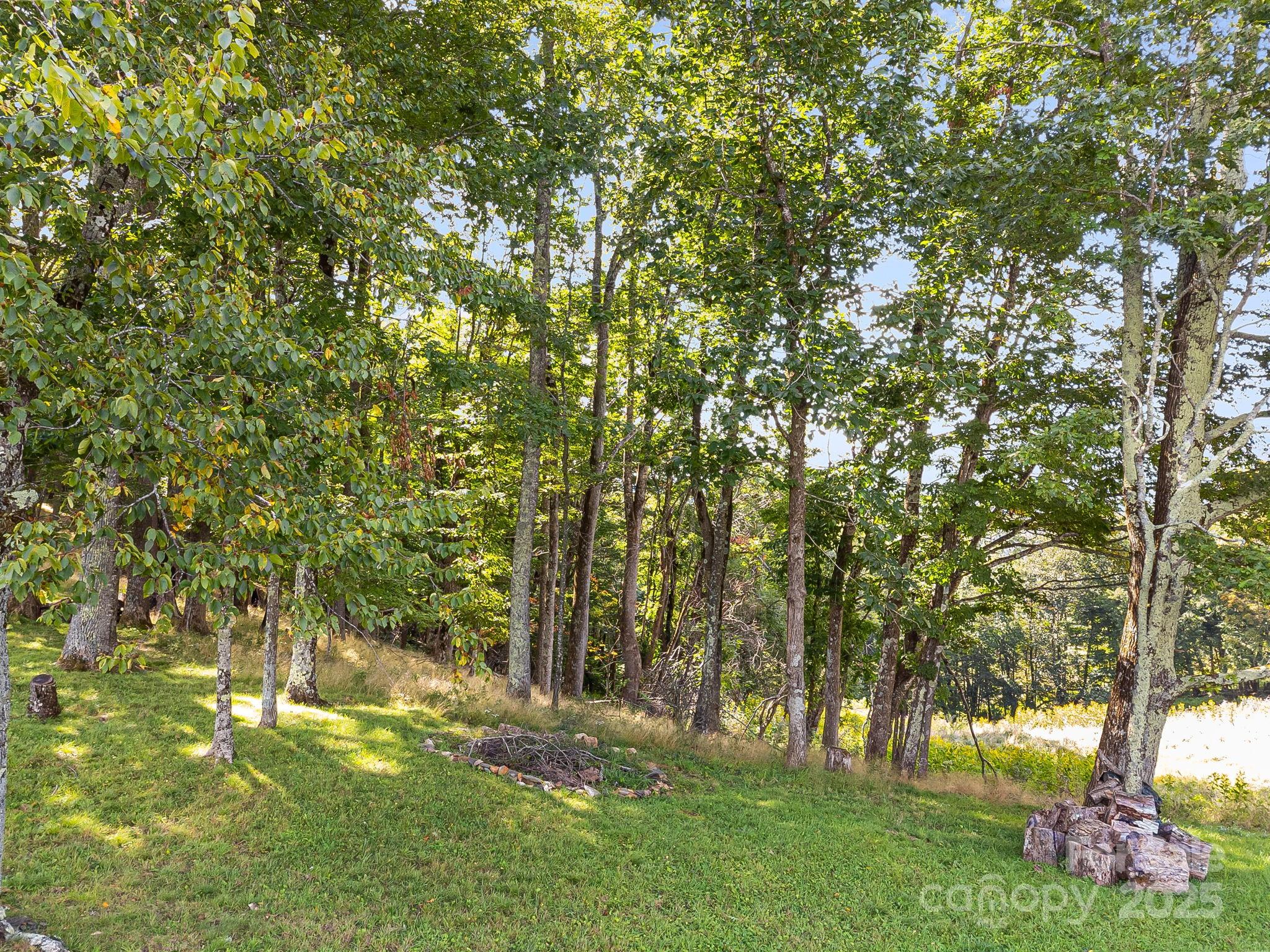 62 Poplar Forest Drive Boone, NC 28607 - Photo 17 of 27 a backyard of a house with lots of trees