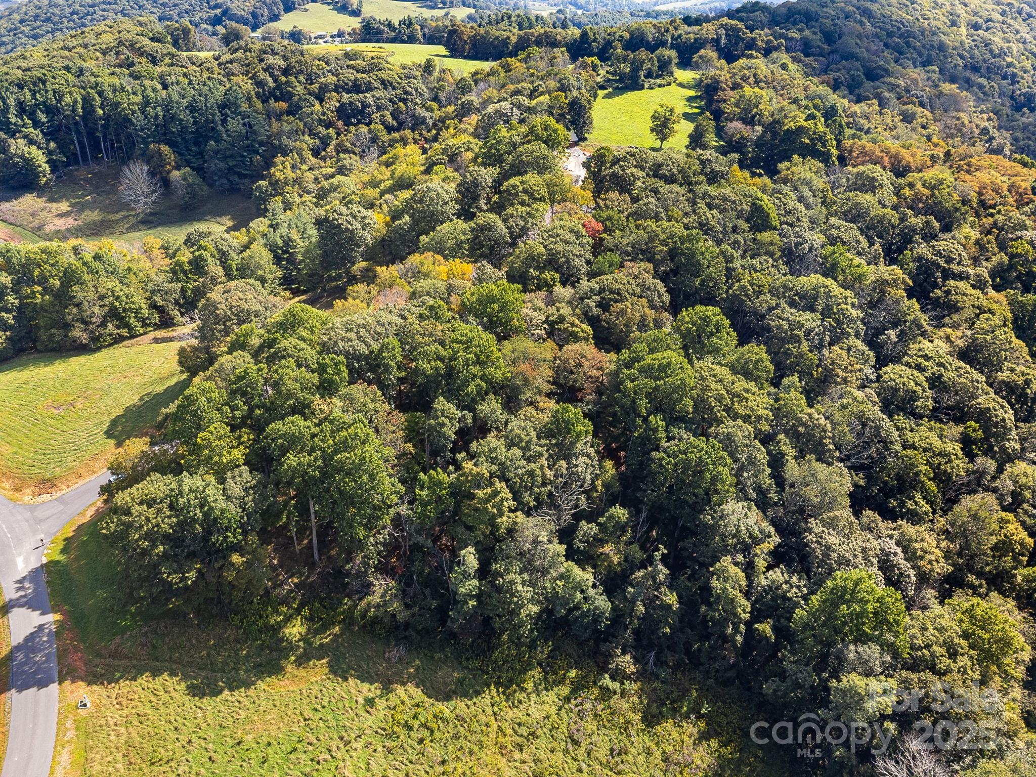 62 Poplar Forest Drive Boone, NC 28607 - Photo 18 of 27 a view of a lake view