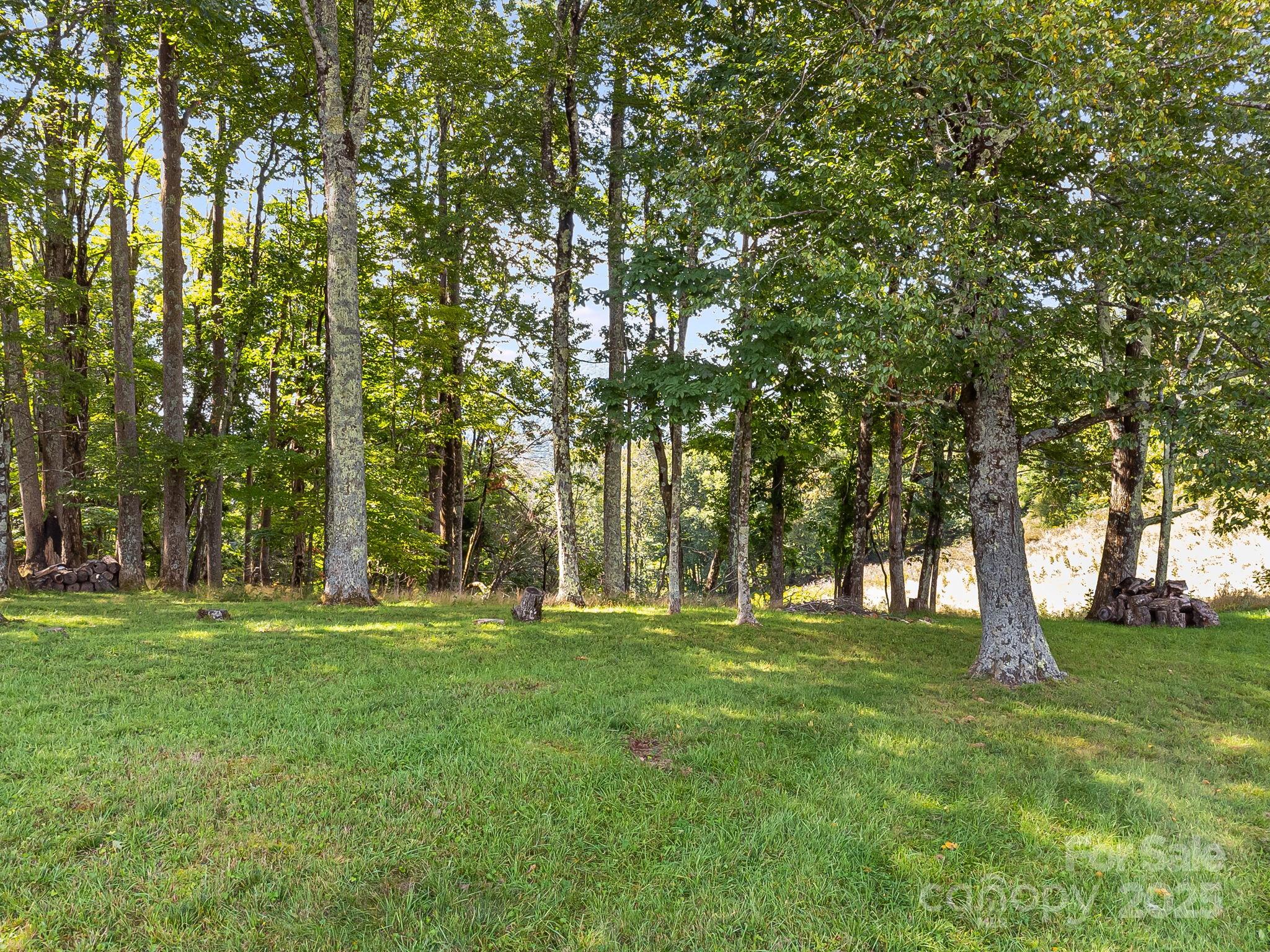 62 Poplar Forest Drive Boone, NC 28607 - Photo 5 of 27 a backyard of a house with lots of green space and trees
