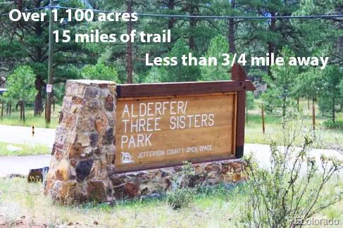 32651 Buffalo Creek Road Evergreen, CO 80439 - Photo 41 of 45