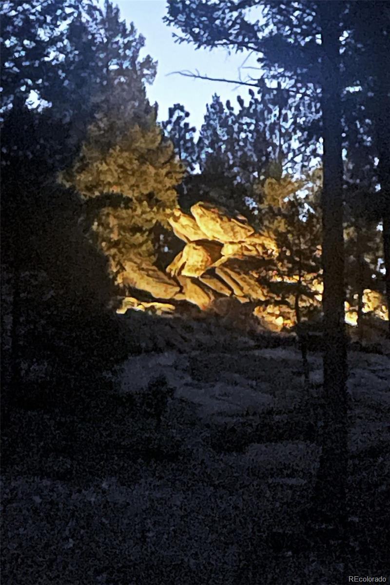 32651 Buffalo Creek Road Evergreen, CO 80439 - Photo 42 of 45