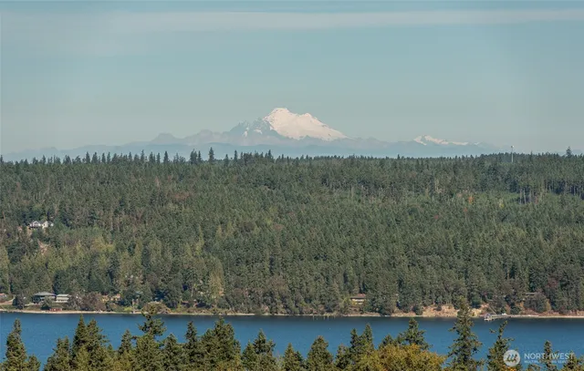 a view of a lake with a mountain in the background