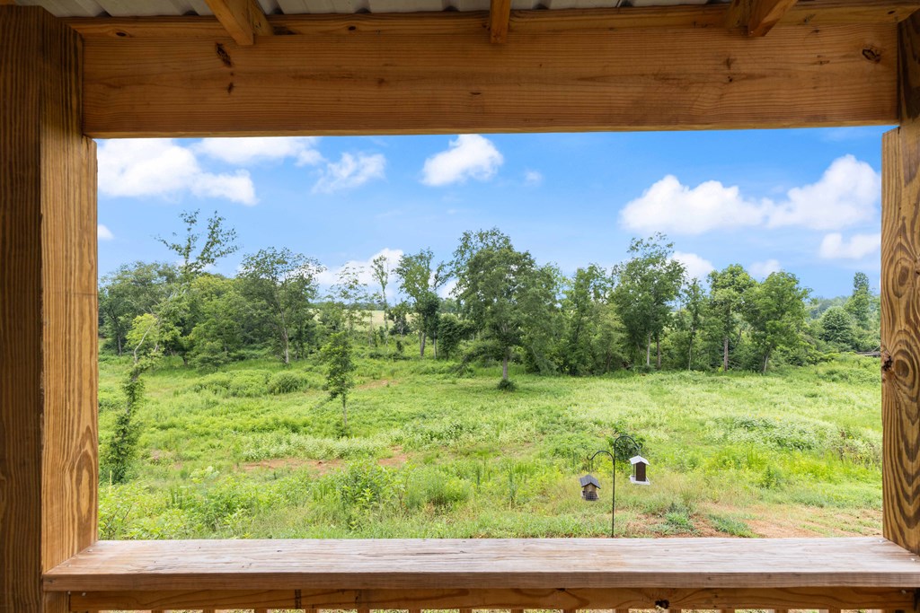 5932 Whitesville Road West Point, GA 31833 - Photo 19 of 40 Picturesque views