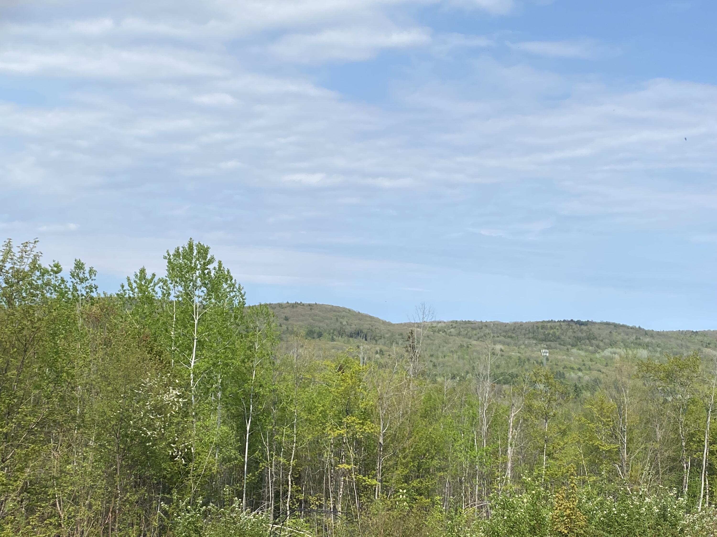 Lot #042 Tower Road, Unit M 005 L 042 Vienna, ME 04360 - Photo 3 of 12 IMG_2678