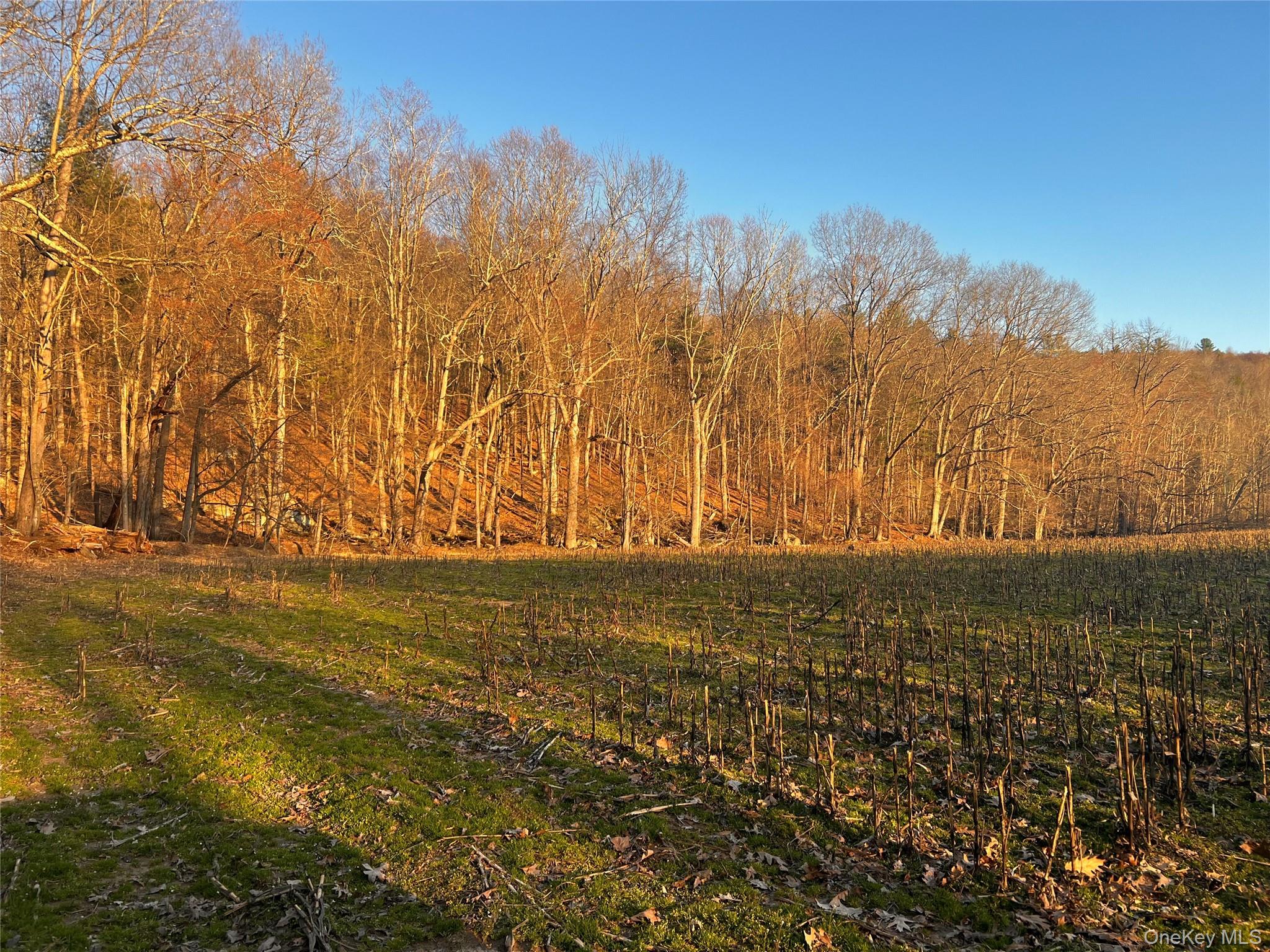 0 State Route 97 Route Cochecton, NY 12726 - Photo 1 of 1 Gallery Image 1