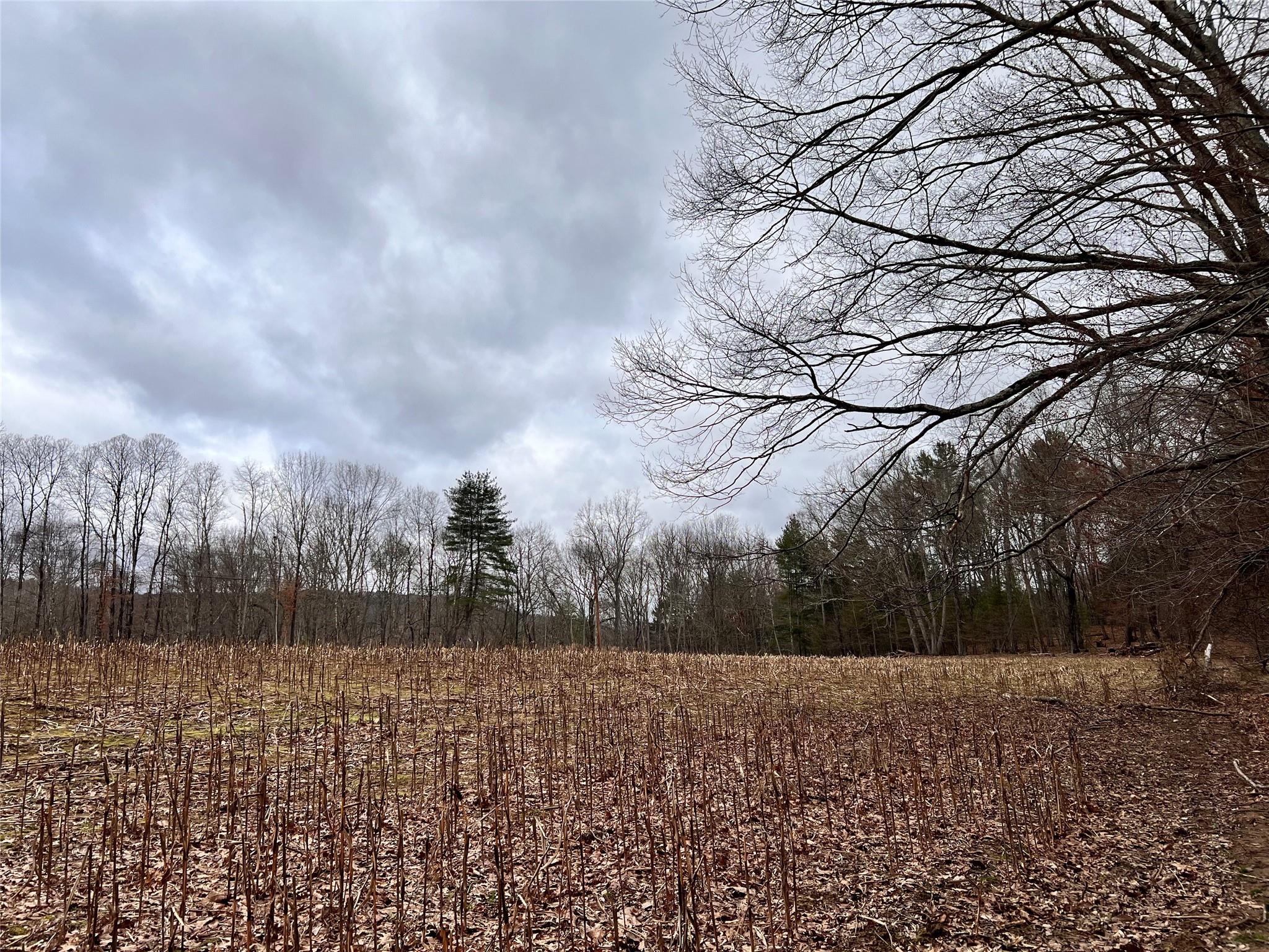 0 State Route 97 Route Cochecton, NY 12726 - Photo 2 of 2 View of nature