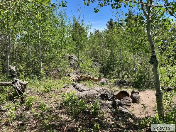 $250,000 | Na Idmon Road, Spencer, ID 83446