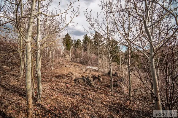 $250,000 | Na Idmon Road, Spencer, ID 83446