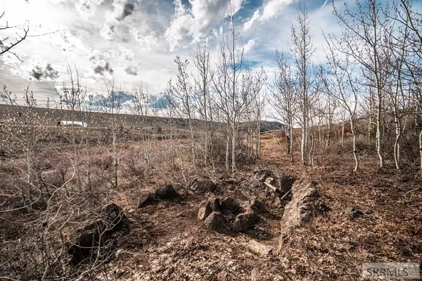 $250,000 | Na Idmon Road, Spencer, ID 83446