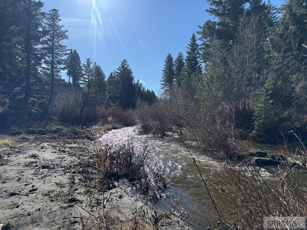 Na Idmon Road Spencer, ID 83446 - Photo 19 of 44