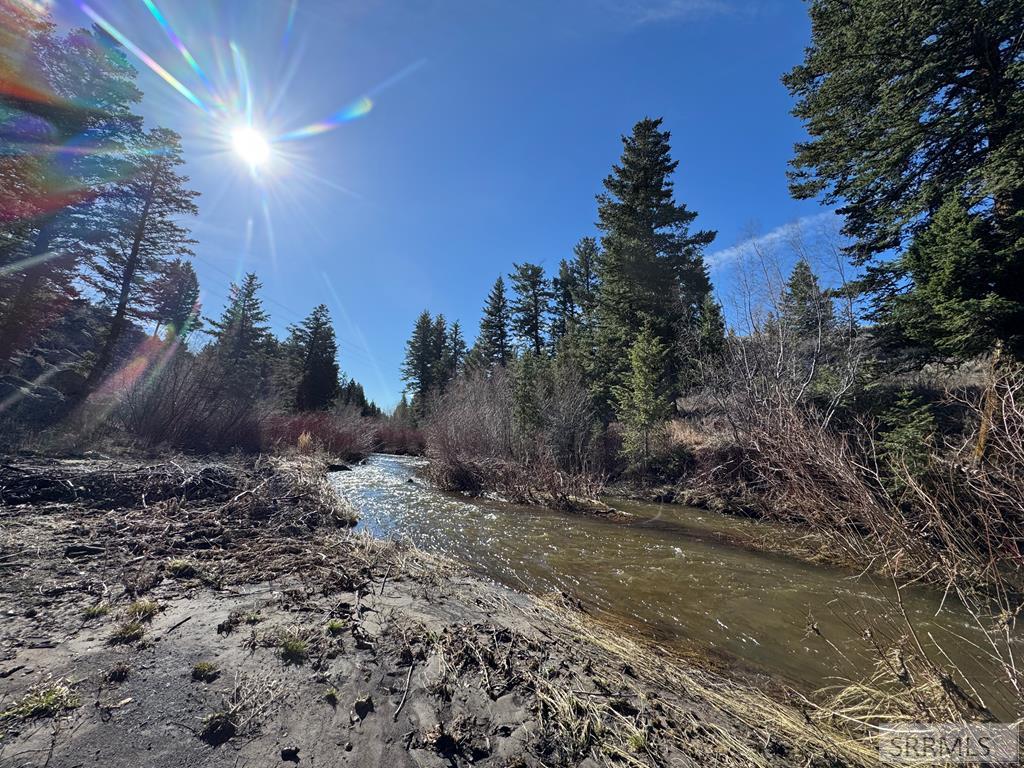 Na Idmon Road Spencer, ID 83446 - Photo 20 of 44