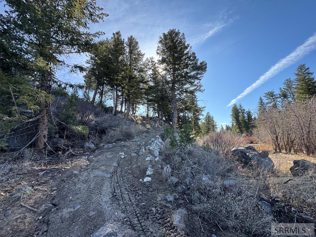 Na Idmon Road Spencer, ID 83446 - Photo 21 of 44